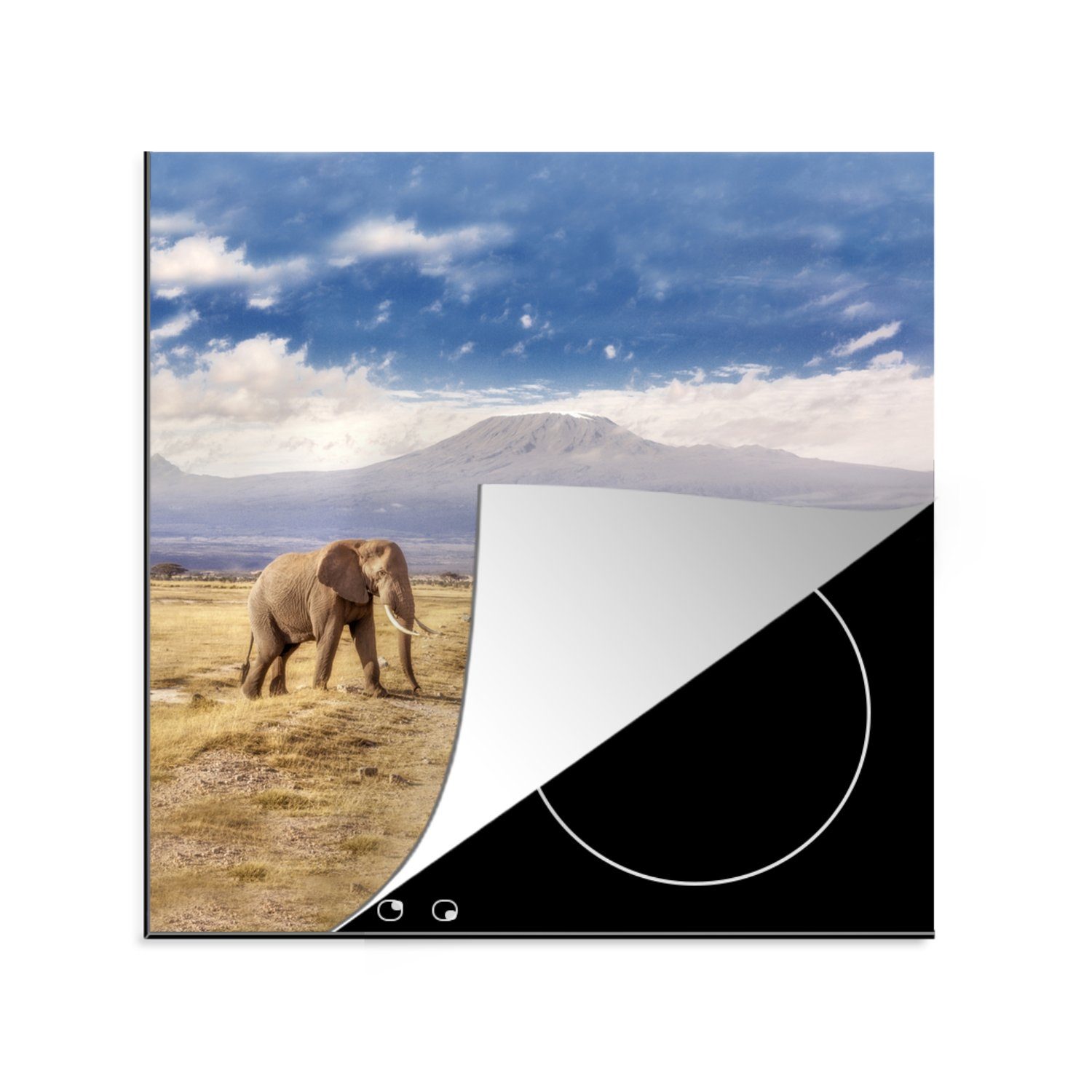 MuchoWow Herdblende-/Abdeckplatte Elefant - Wolke - Safari, Vinyl, (1 tlg), 78x78 cm, Ceranfeldabdeckung, Arbeitsplatte für küche