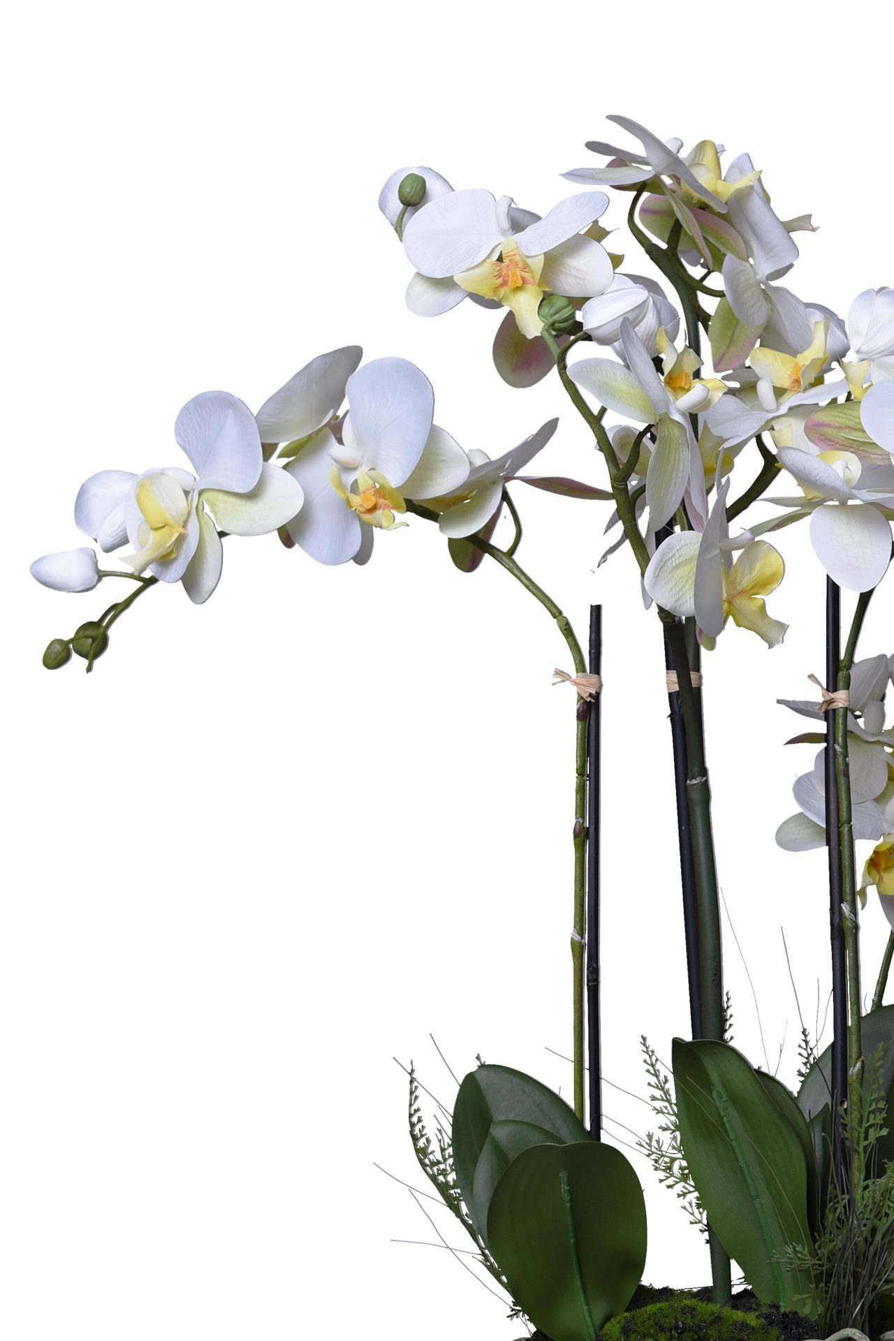 Kunstpflanze Kunststoff -, Erdballen künstliche Orchidee ORCHIDELIS VIVANNO, cm im 80 Kunstpflanze Höhe