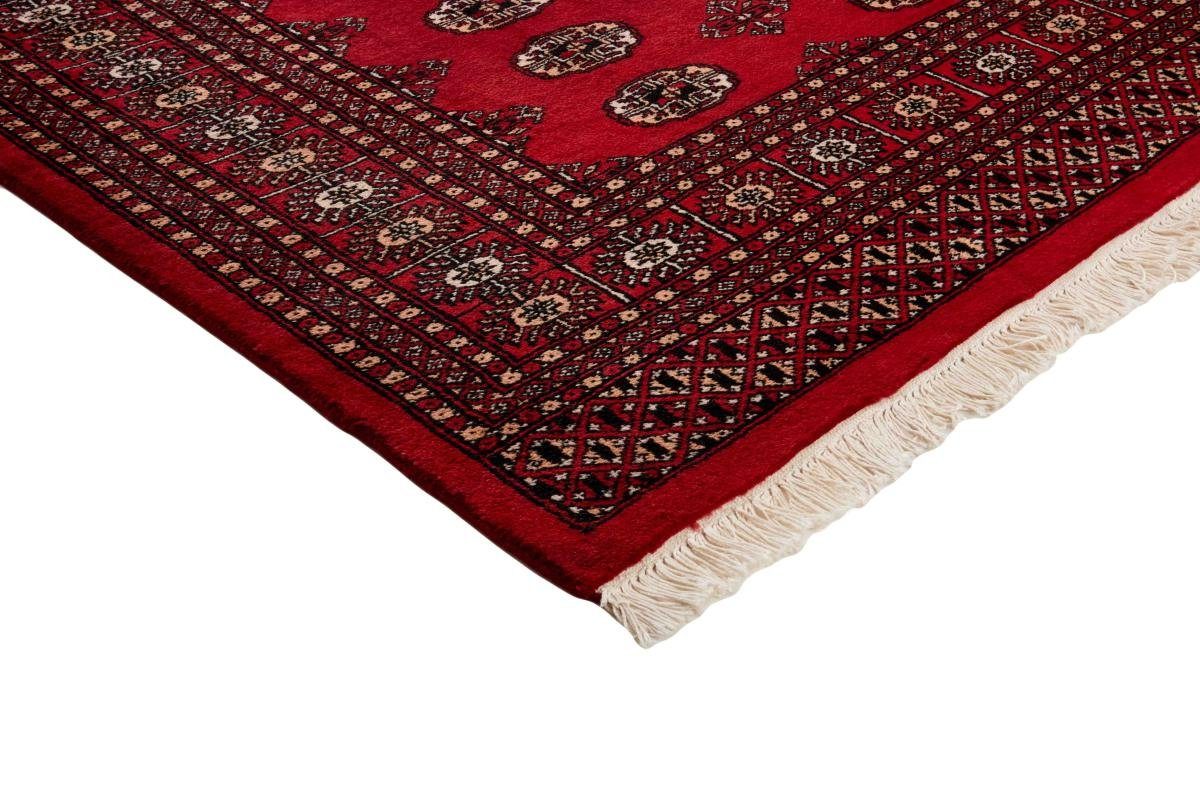 202x290 2ply mm Pakistan Trading, Orientteppich, 8 Nain Buchara Orientteppich Handgeknüpfter rechteckig, Höhe: