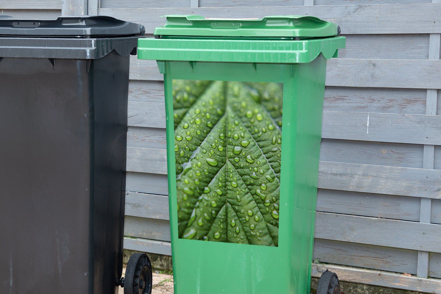 Wandsticker Makro Regen Mülltonne, Blattes Sticker, St), den eines Container, Abfalbehälter Adern MuchoWow (1 Mülleimer-aufkleber, auf