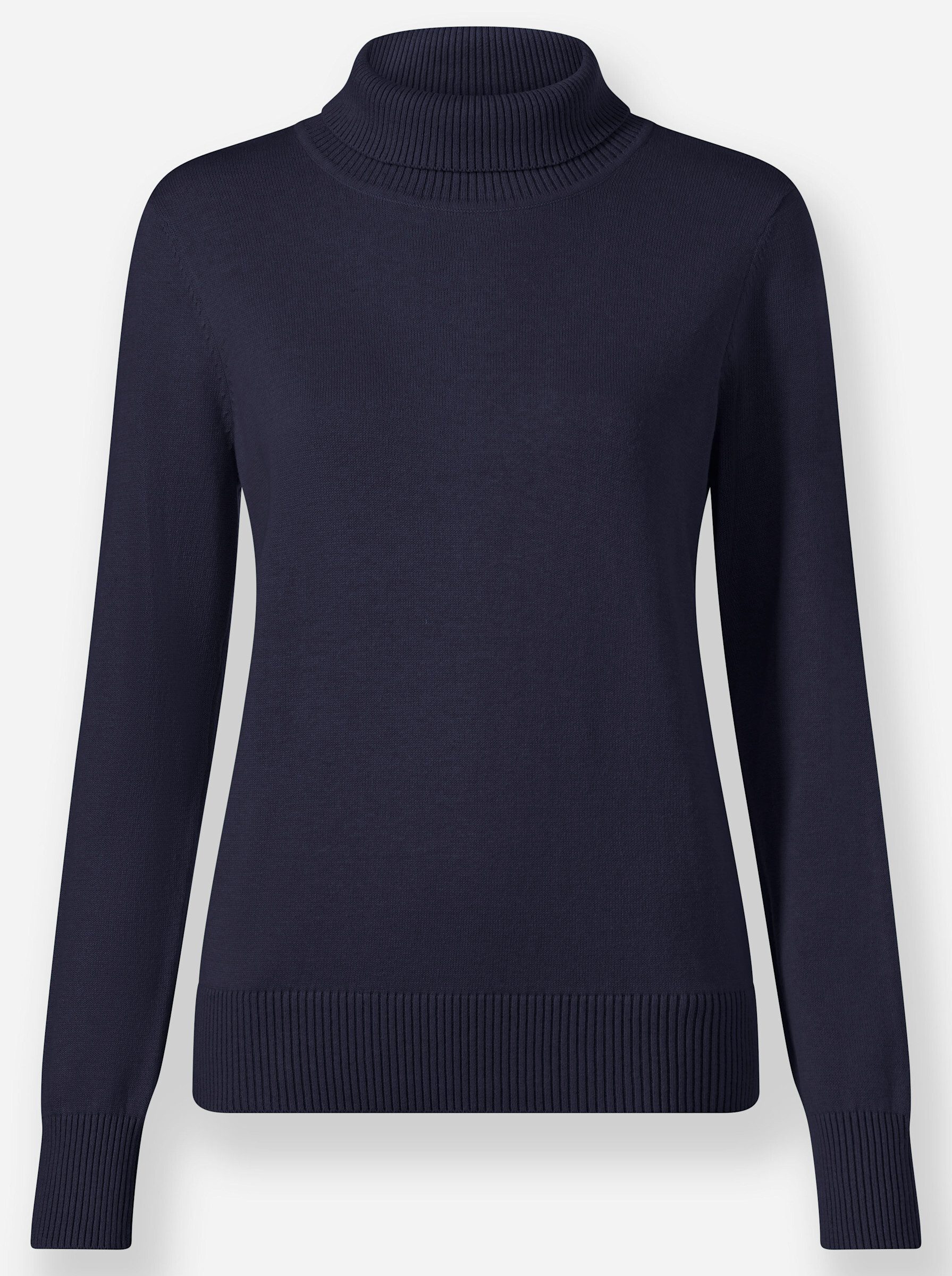 Strickpullover Rollkragenpullover .