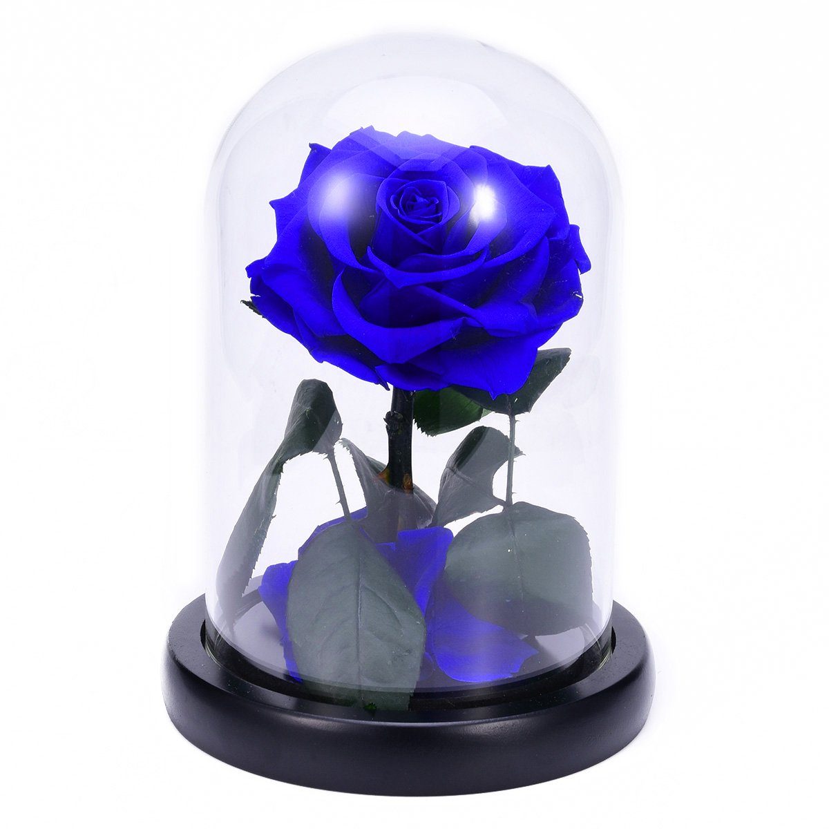 Blumen die ähnlich wie rosen aussehen