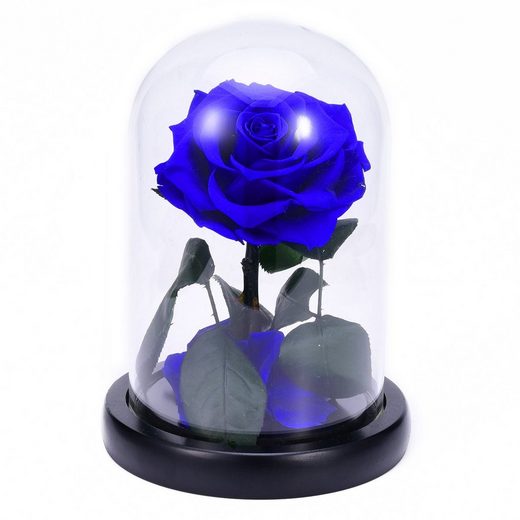 Kunstblume »Konservierte Rosen Blumen, Glaskuppel, romantische Geschenke für Valentinstag Muttertag Geburtstag Jahrestag Weihnachten« Rosen, Rosnek