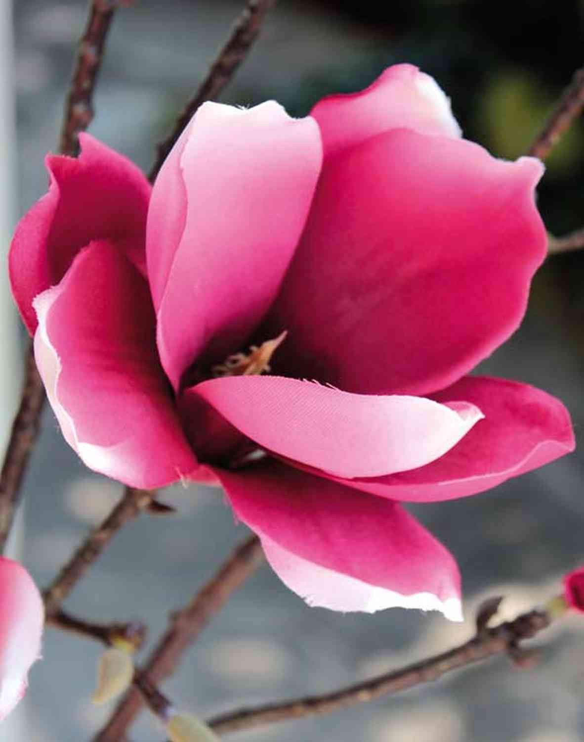 Kunstzweig Magnolienzweig künstlich YONA, rosa-pink, 130cm Magnolie, artplants, Höhe 130.0 cm