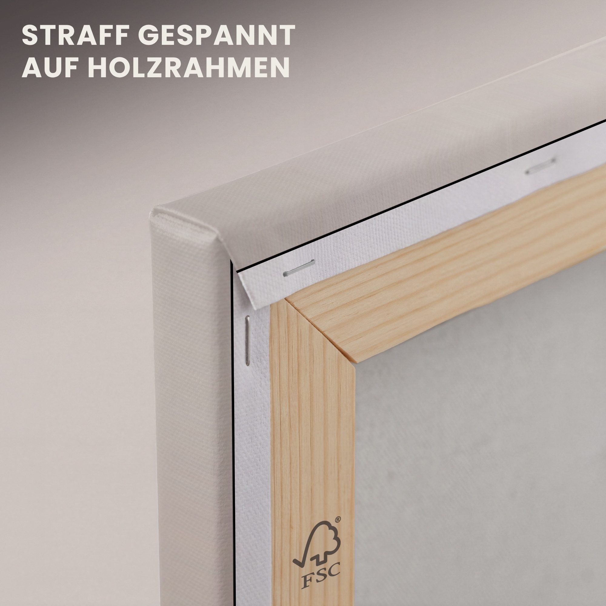 OneMillionCanvasses® Leinwandbild Muschel - Detail - Beige, Fotodruck (1 St), Wandbild, Deko Schlafzimmer Wohnzimmer Flur 20x20 cm – Bild 5 von 5