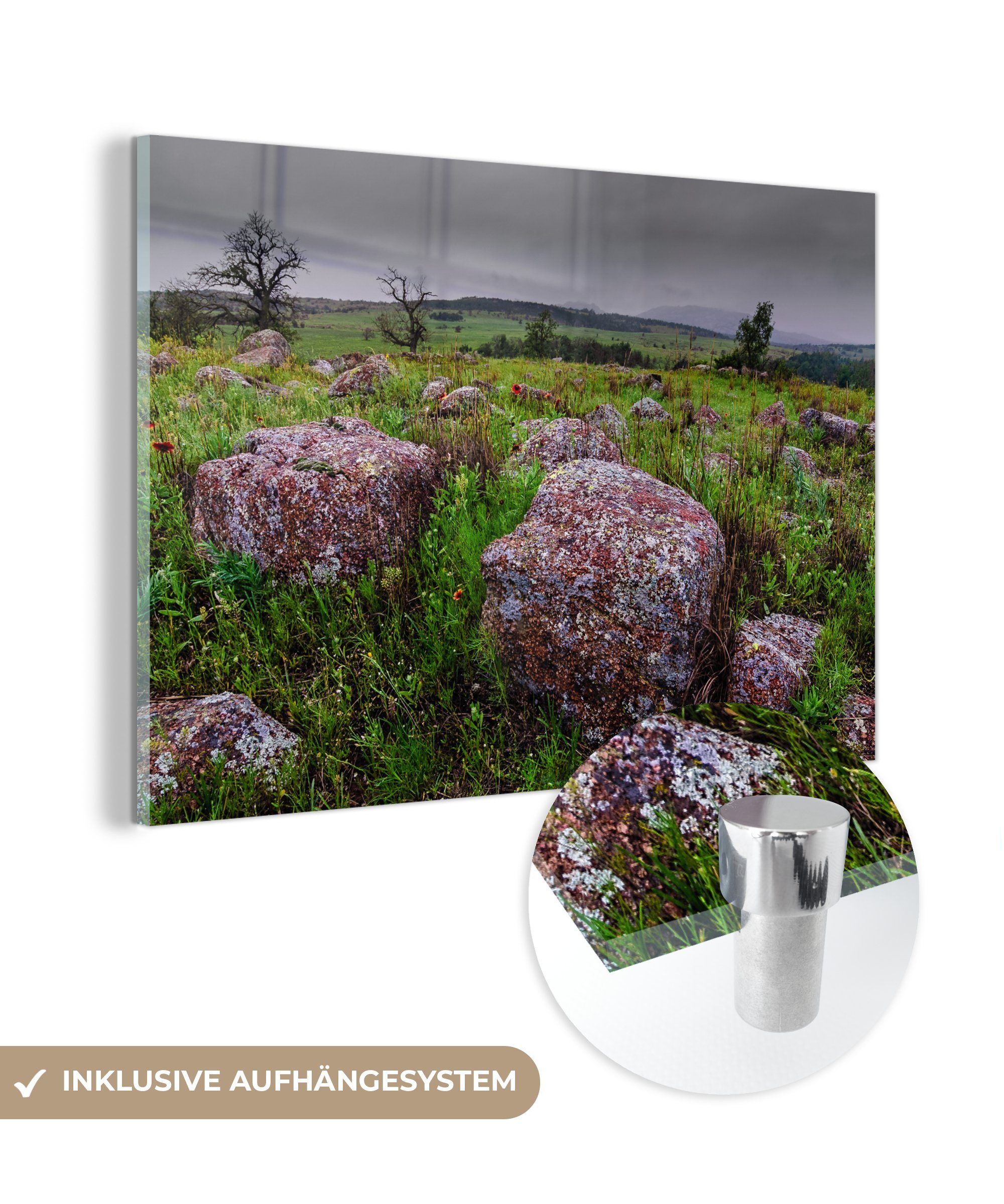 MuchoWow Acrylglasbild Steine im Rasen, (1 St), Acrylglasbilder Wohnzimmer & Schlafzimmer