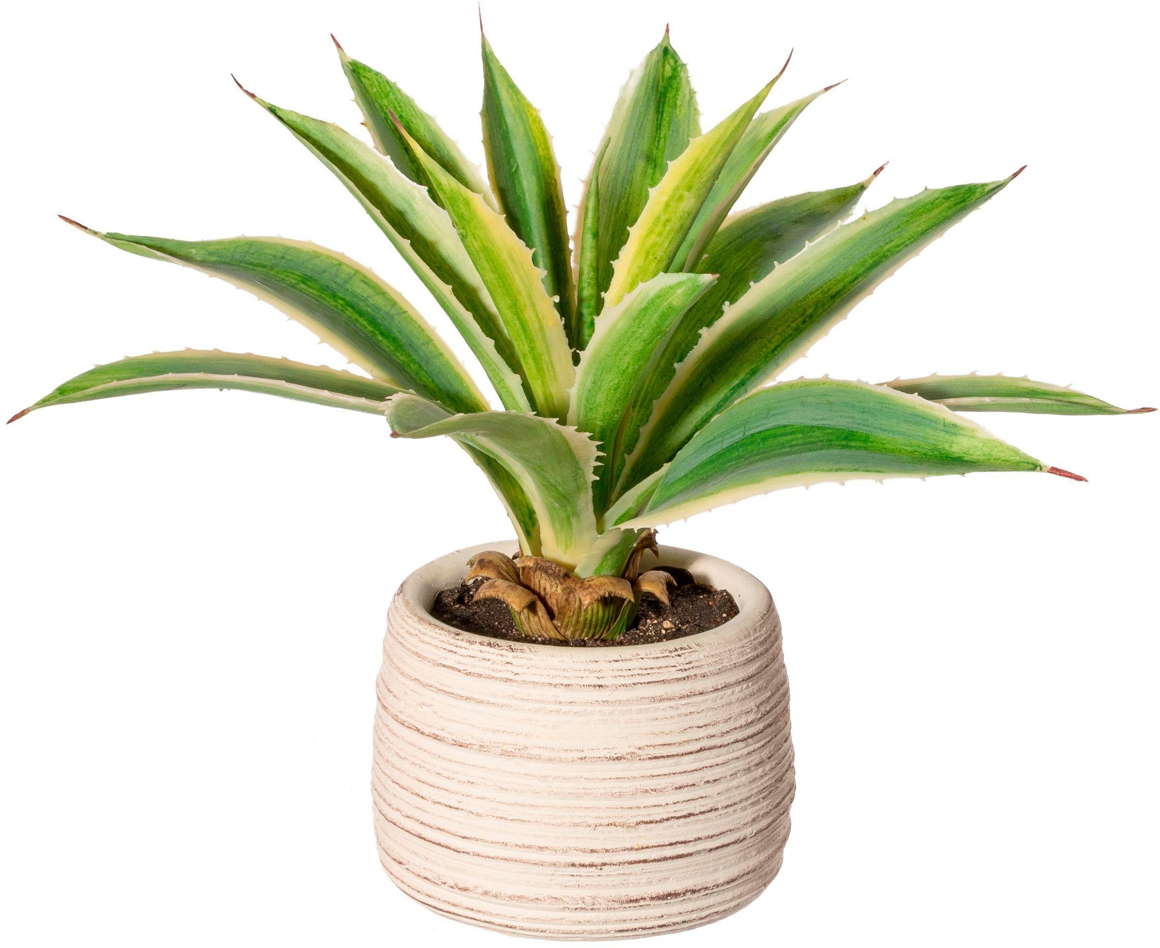 Künstliche Zimmerpflanze Agave im Zementtopf Sukkulente, Creativ green, Höhe 25 cm