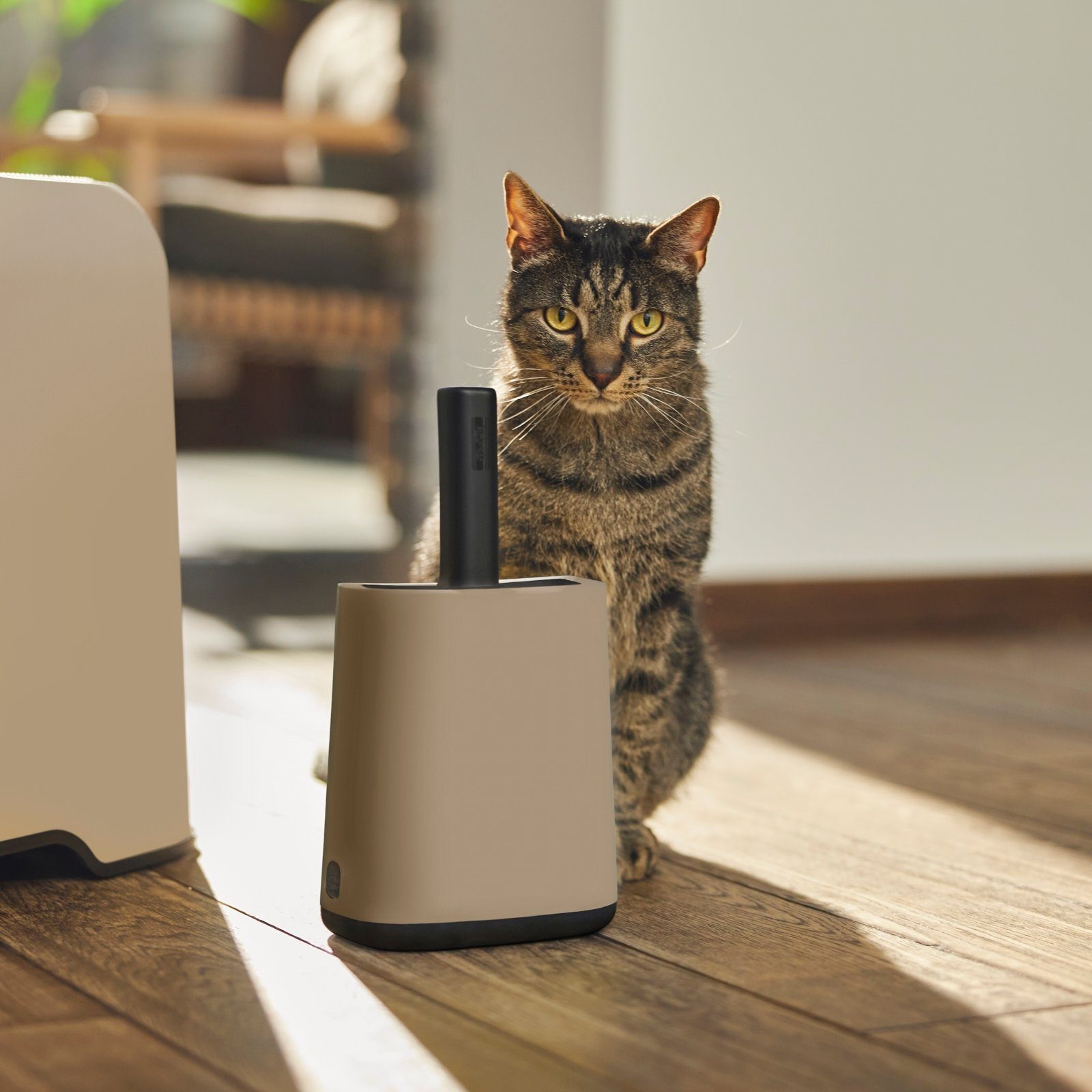 ROTHO Katzentoilette MyPet Biala Schaufel mit Halter und XL Beutel günstig online kaufen