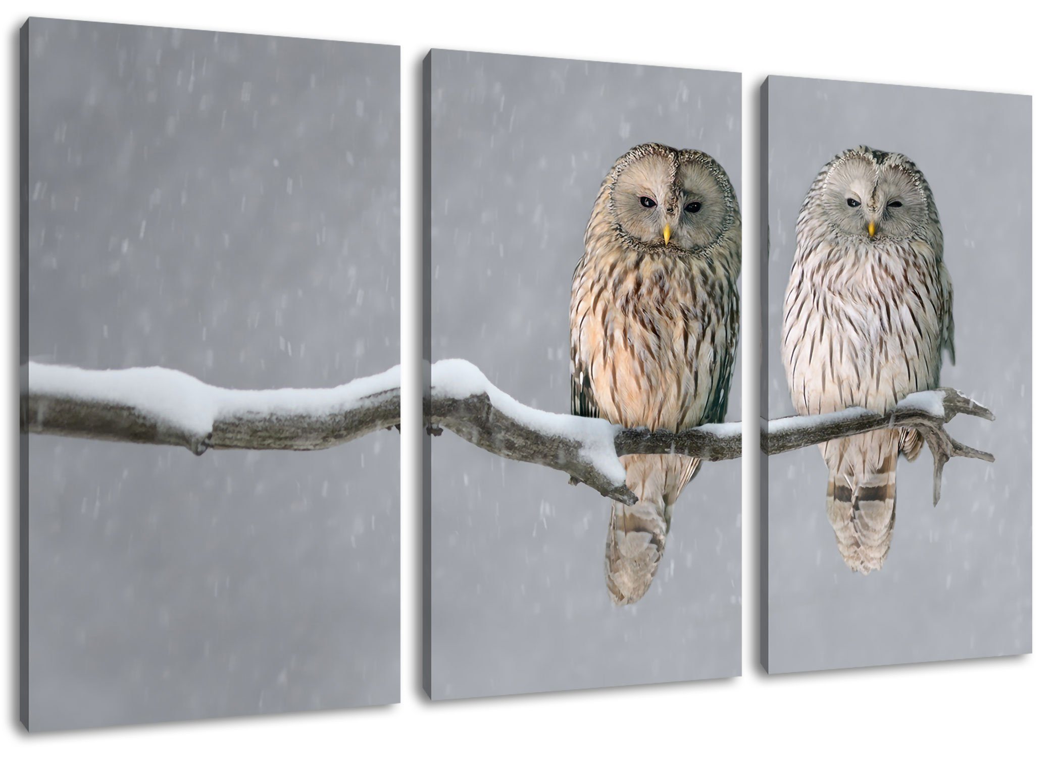 Pixxprint Leinwandbild Zwei Eulen in Winterlandschaft, Zwei Eulen in Winterlandschaft 3Teiler (120x80cm) (1 St), Leinwandbild fertig bespannt, inkl. Zackenaufhänger