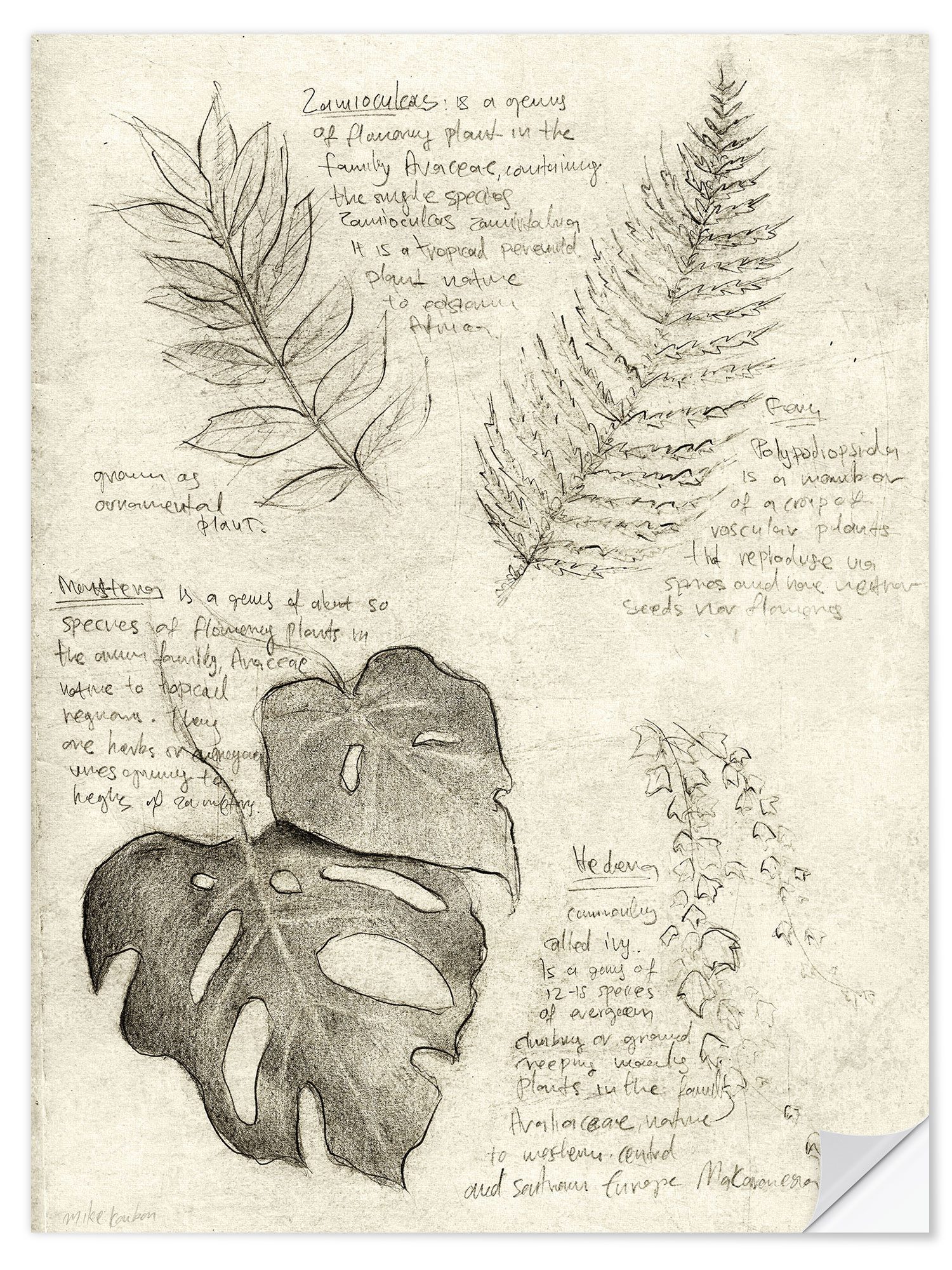 Posterlounge Плакат Mike Koubou, Pflanzen, Klassenzimmer Vintage Illustration