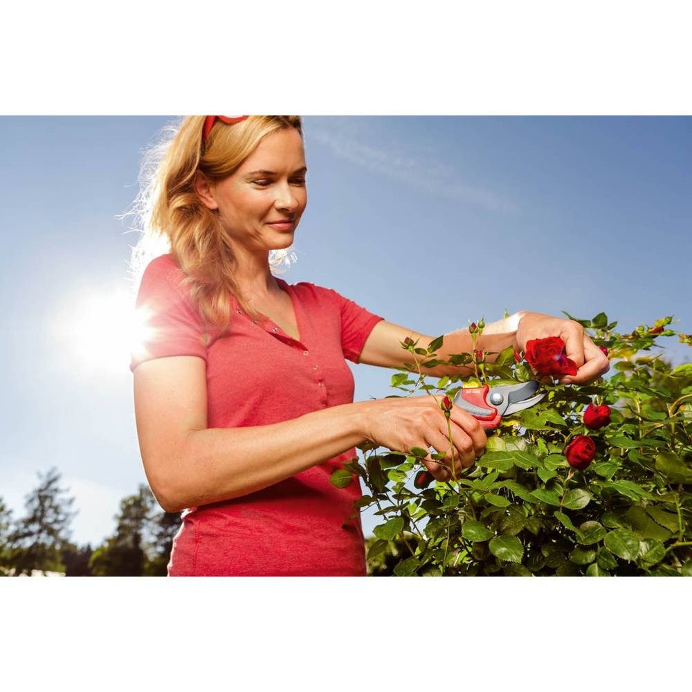 WOLF-Garten Gartenschere Gartenschere Premium Plus günstig online kaufen