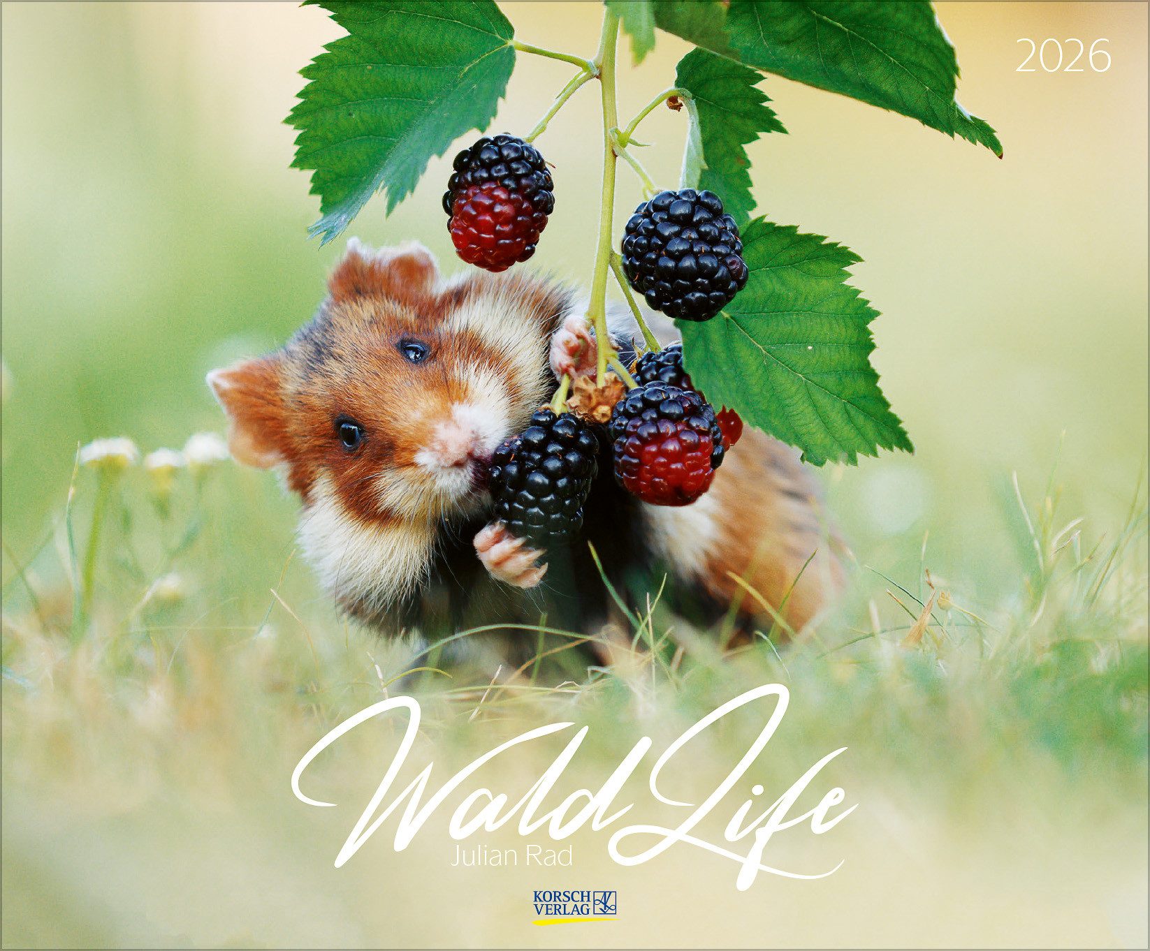 Korsch Verlag Tierkalender Korsch Календари WaldLife 2026