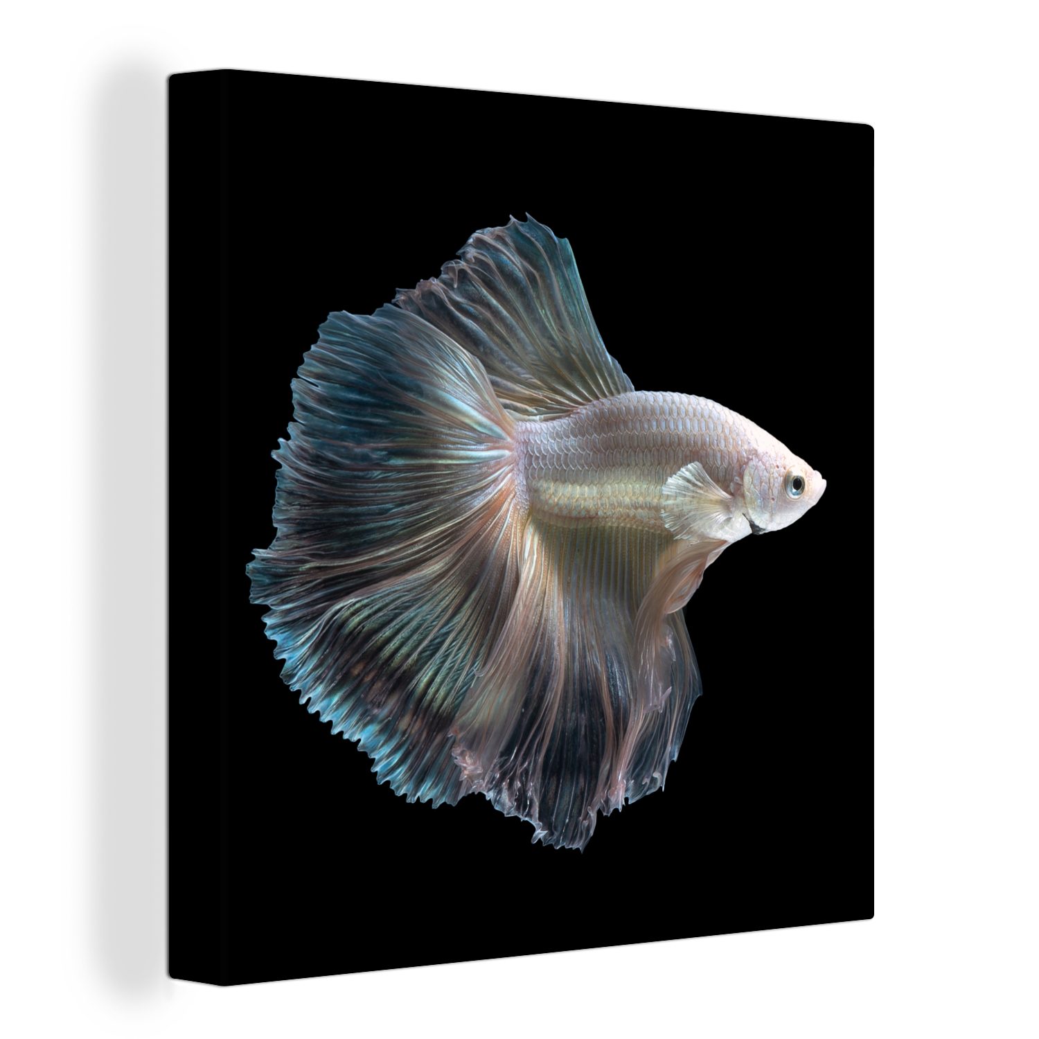 OneMillionCanvasses® Leinwandbild Fisch Schlafzimmer (1 Bilder Schwanz Wohnzimmer für St), - - Weiß, Leinwand