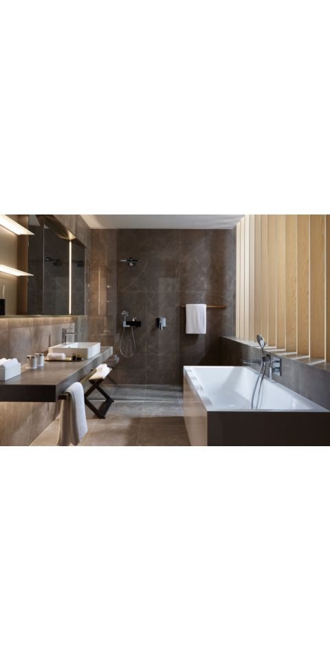 Thumbnail - hansgrohe Handbrause