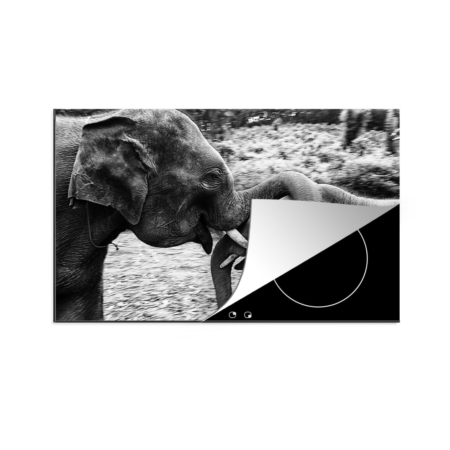 MuchoWow Herdblende-/Abdeckplatte Elefant - Tiere - Natur - Schwarz und weiß, Vinyl, (1 tlg), 81x52 cm, Induktionskochfeld Schutz für die küche, Ceranfeldabdeckung