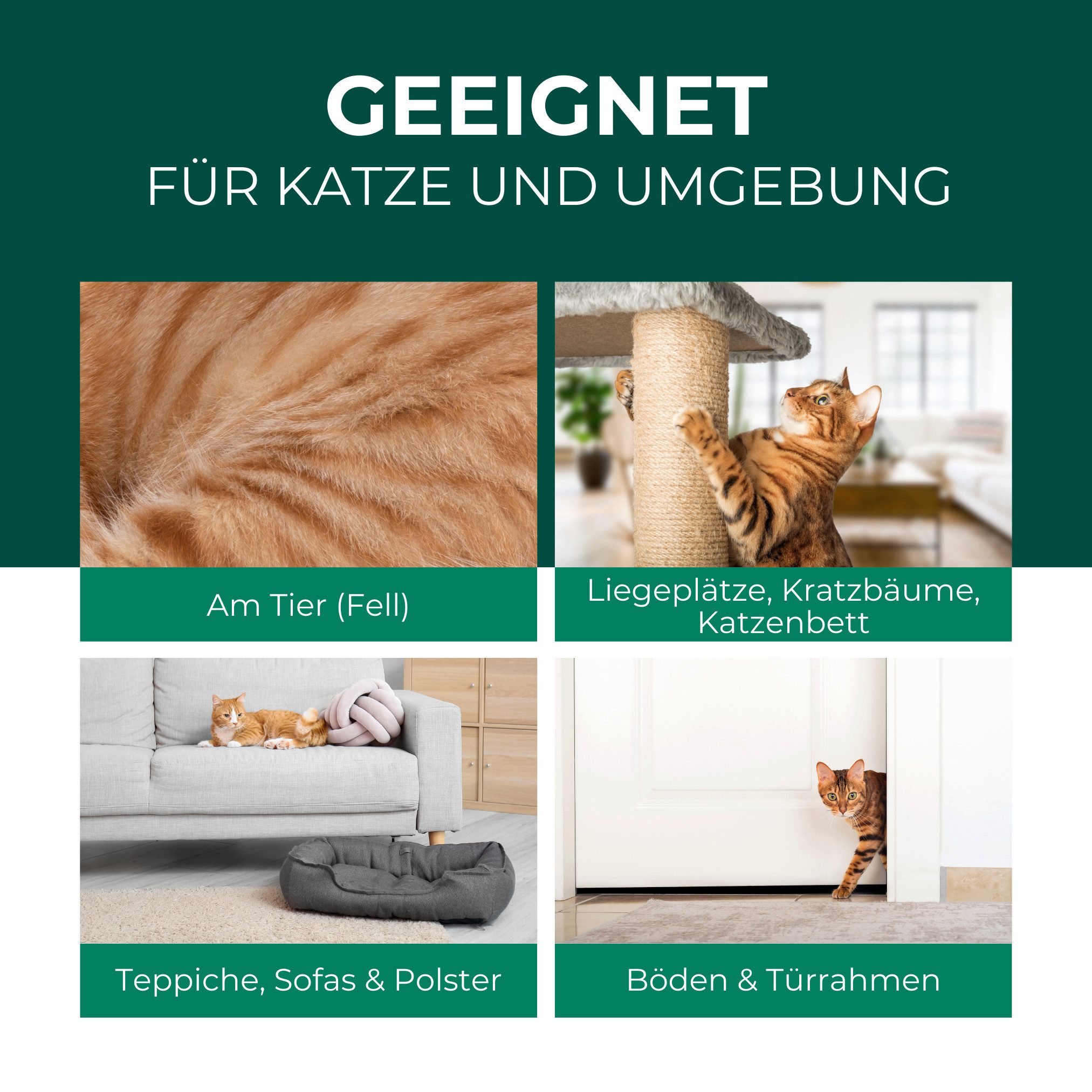 Silberkraft Insektenspray Silberkraft Milbenspray Katzen, gegen Grabmilben & Herbstgrasmilben, 500 ml, 1-St., Anti-Milben-Mittel für Katzenfell, Schlafplätze un – Bild 3 von 5