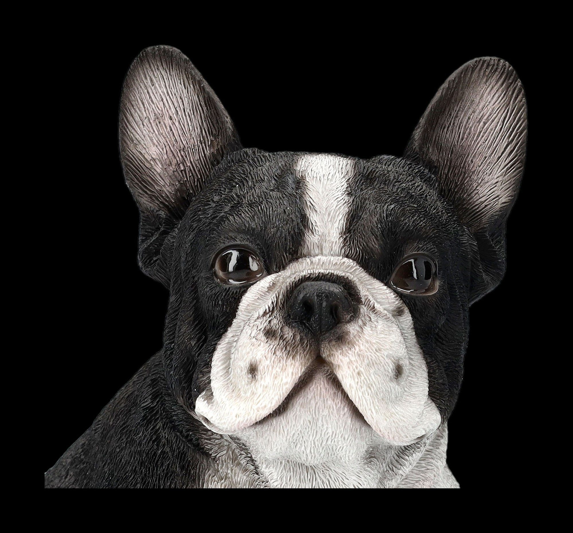 Französischer Bulldogge Figur Figuren Tierfigur Tierfigur Dekofigur GmbH - Welpen Hunde Shop