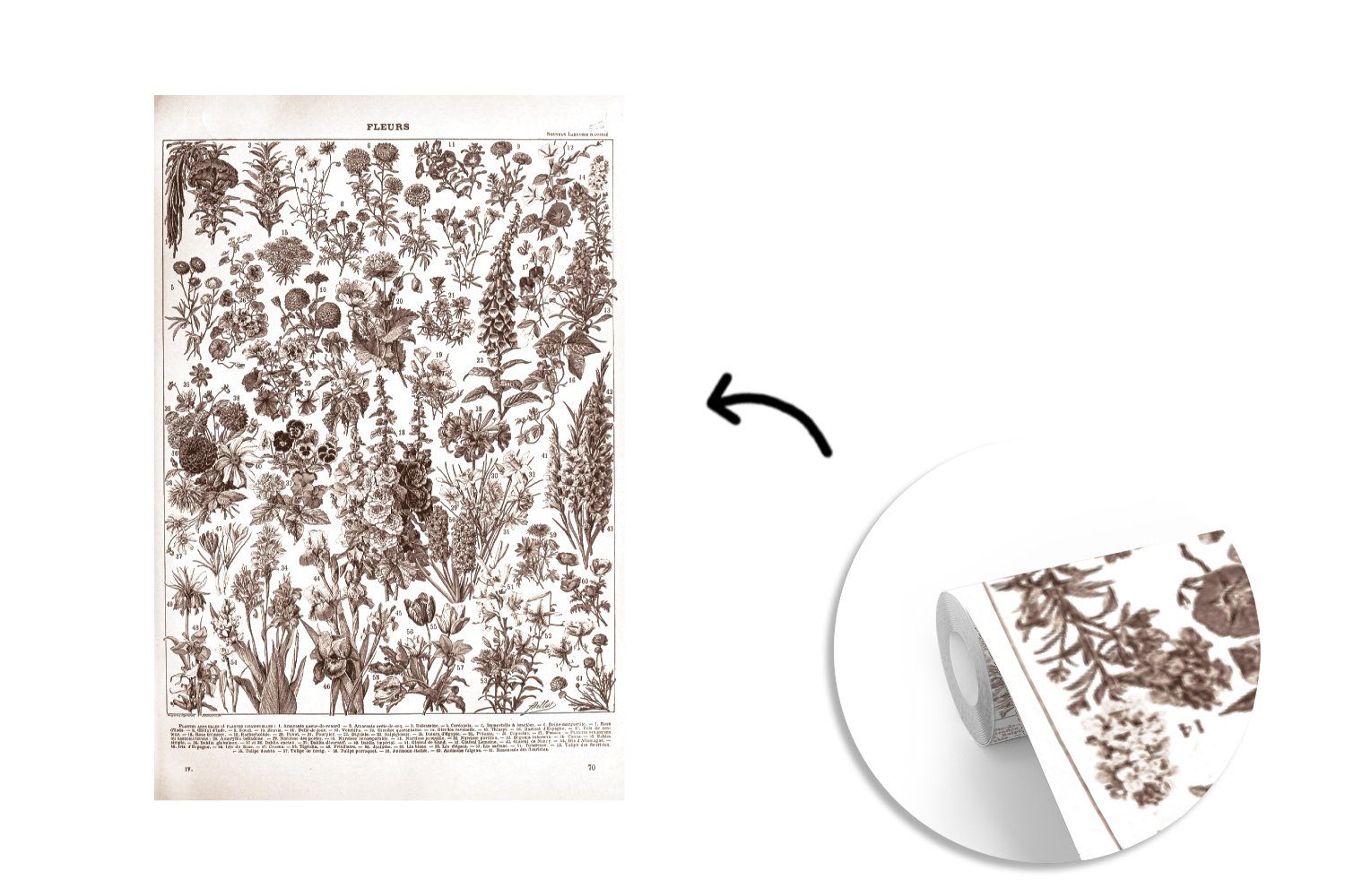MuchoWow Wohnzimmer, Pflanzen Matt, Wandtapete Montagefertig Fototapete bedruckt, - Blumen (3 Tapete Vinyl - Schwarz Weiß, - St), für
