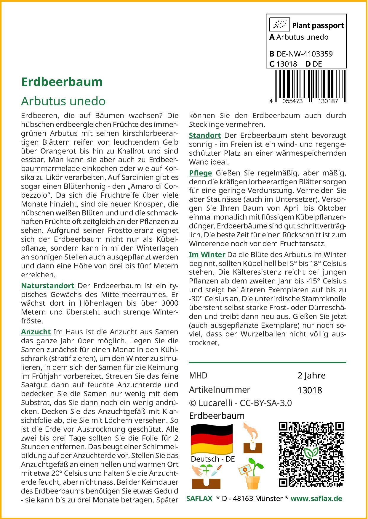 SAFLAX Blumensamen SAFLAX - Samen - günstig online kaufen