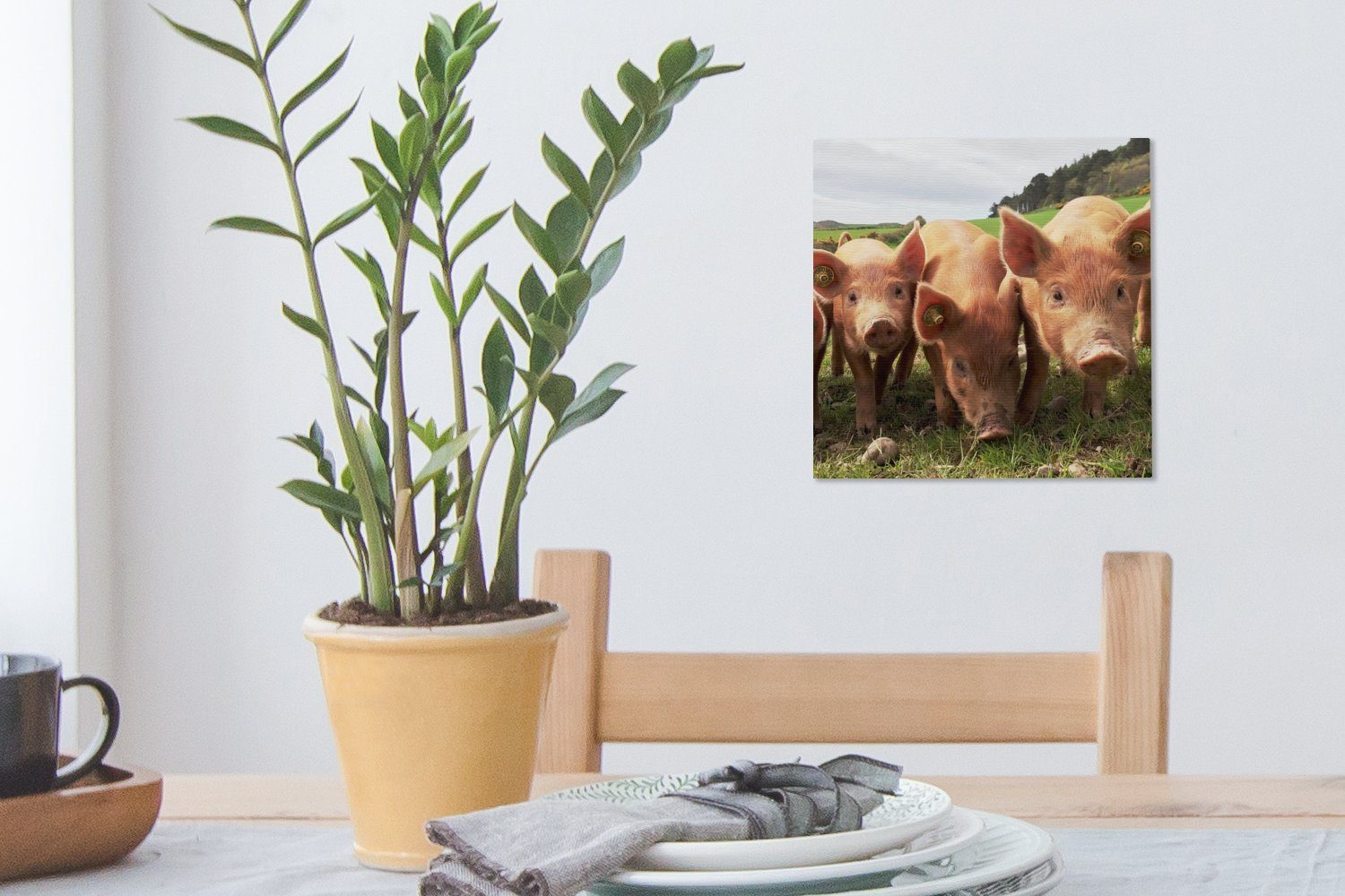Leinwandbild Leinwand (1 OneMillionCanvasses® Tiere, für Groß - - Schlafzimmer St), Wohnzimmer Schweine Bilder