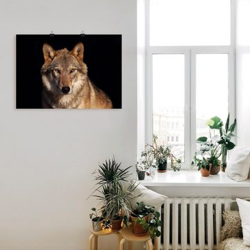Artland Poster Wolf, Wildtiere (1 St), als Alubild, Leinwandbild, Wandaufkleber oder Poster in versch. Größen