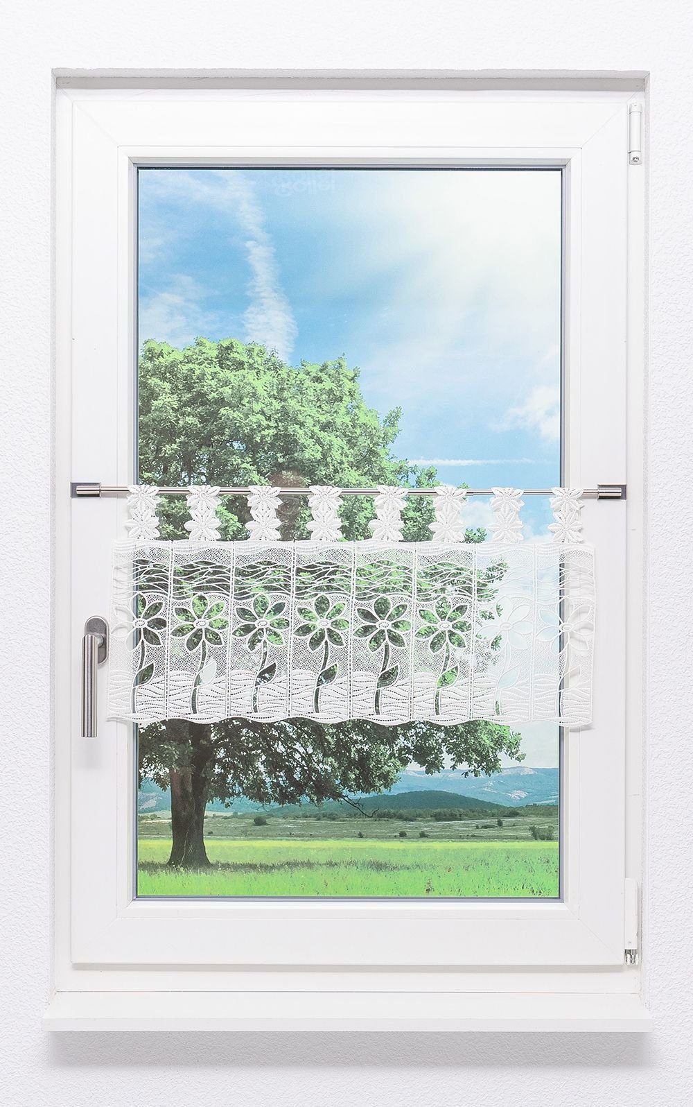 Plauener Spitze® Scheibengardine Blüte (1 St), transparent, HxB 32x40cm günstig online kaufen