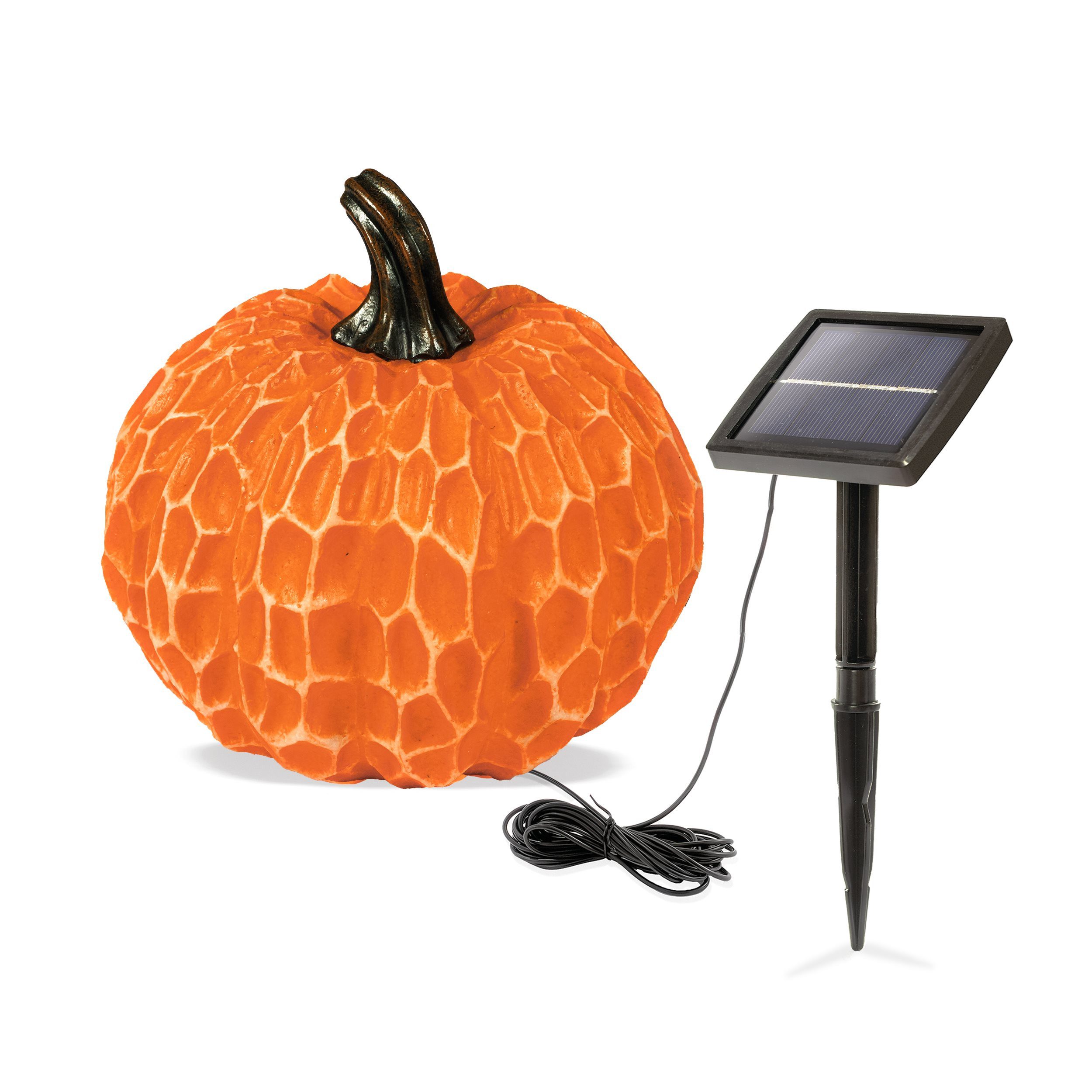 esotec LED Gartenleuchte Gartendeko Solarleuchte Kürbis, D=20cm, DUO COLOR, outdoor 102683, 2 Lichtfarben kaltweiß + warmweiß wählbar, automatisches Einschalten – Bild 2 von 5