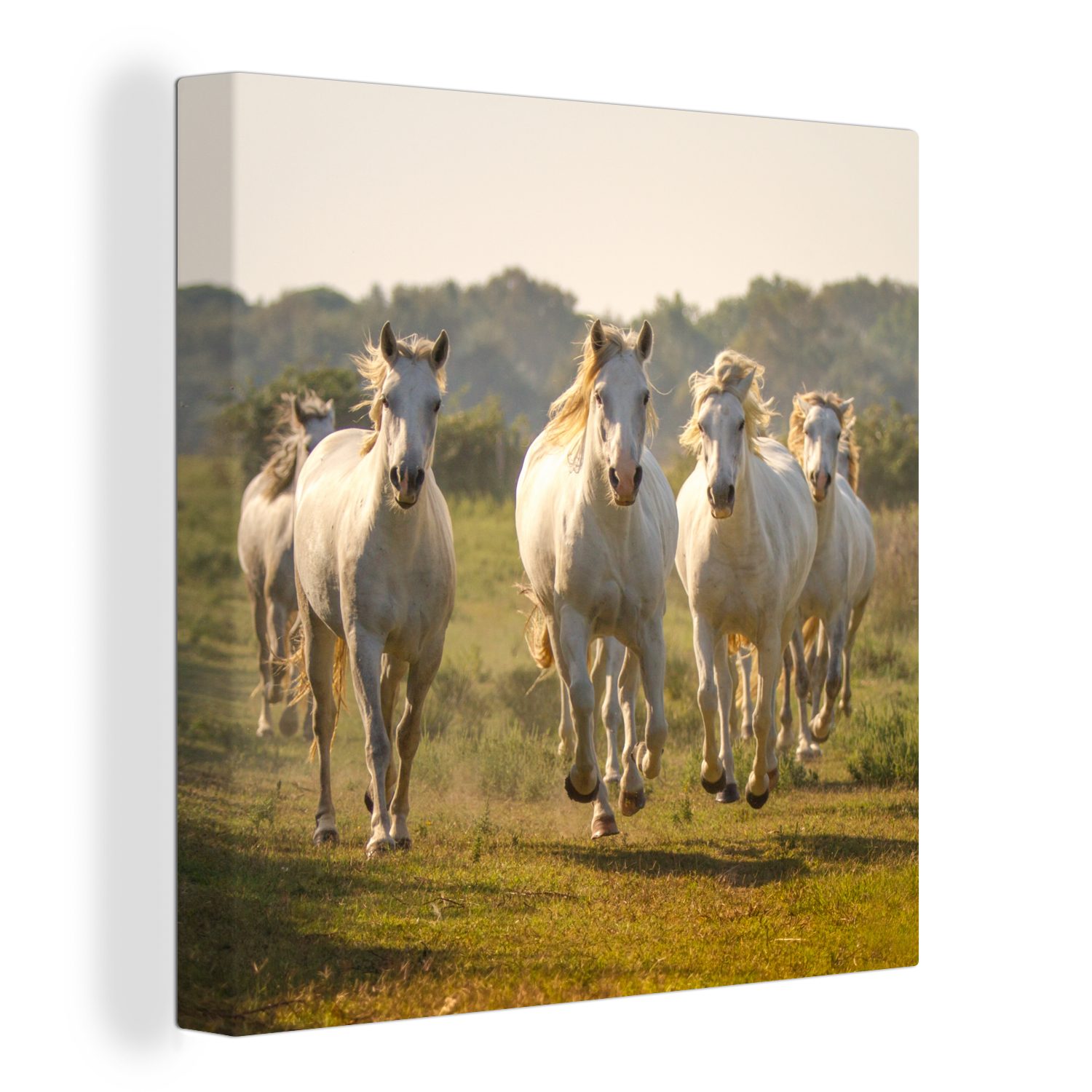 OneMillionCanvasses® Leinwandbild Galoppierende weiße Pferde, (1 St), Leinwand Bilder für Wohnzimmer Schlafzimmer | Leinwandbilder