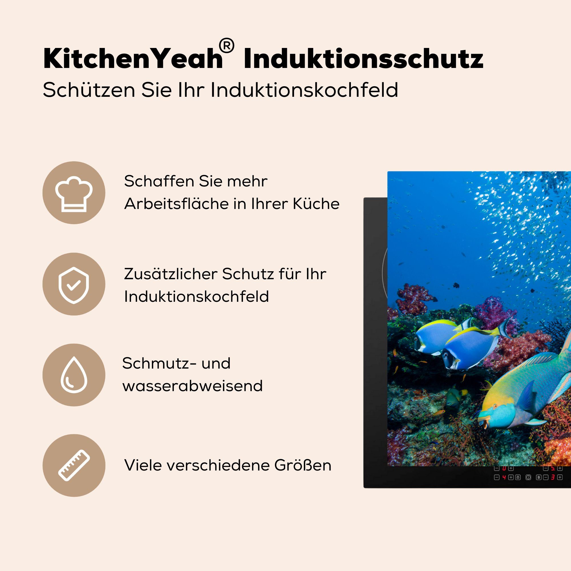 MuchoWow Herdblende-/Abdeckplatte Papageienfisch, (1 küche, tlg), Fische die 81x52 cm, Ceranfeldabdeckung Induktionskochfeld für - Koralle - Vinyl, Schutz