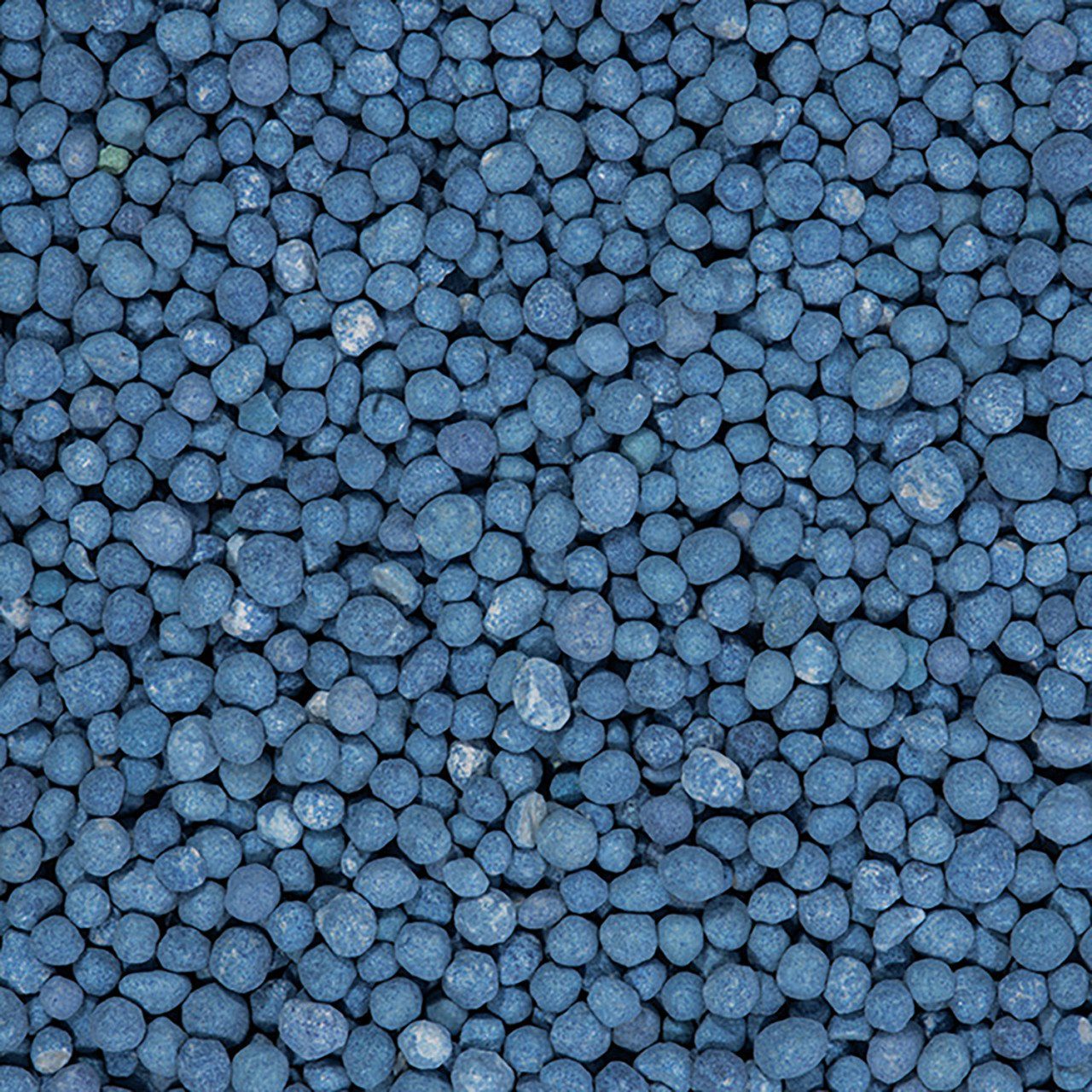 Compo Gemüsedünger Compo Blaukorn NovaTec 3 kg – Bild 3 von 3
