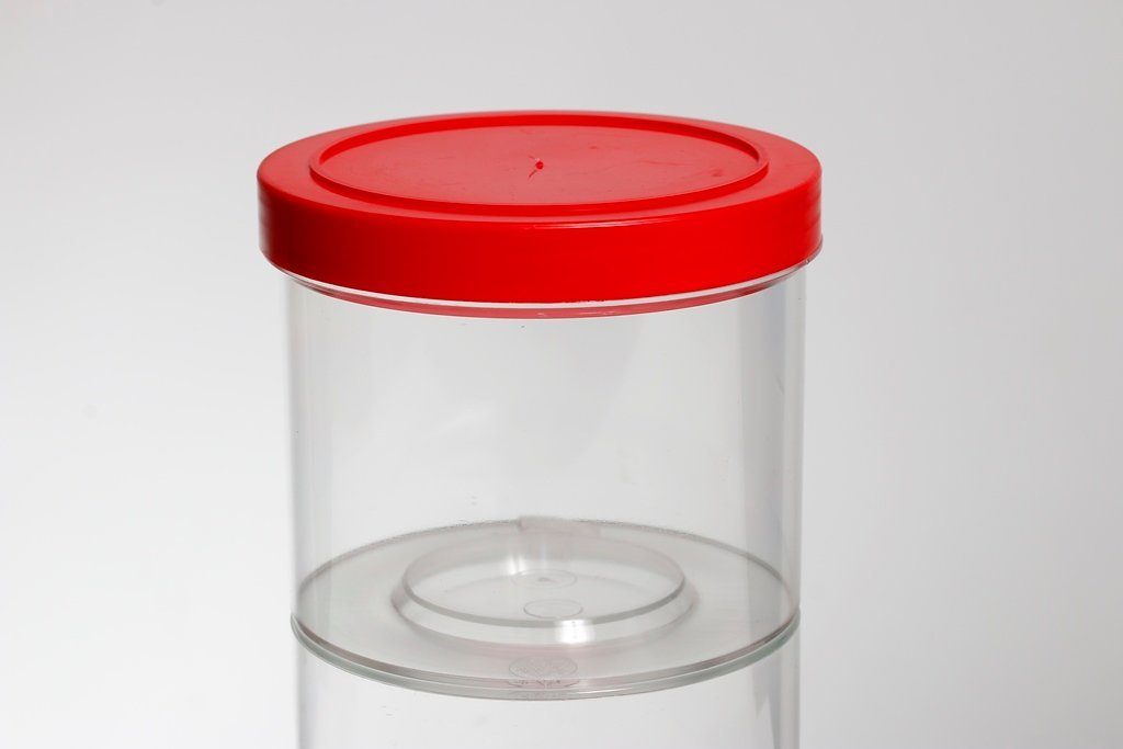 Terrarium Klarsichtleerdose rund mit Schraubdeckel, 500 ml