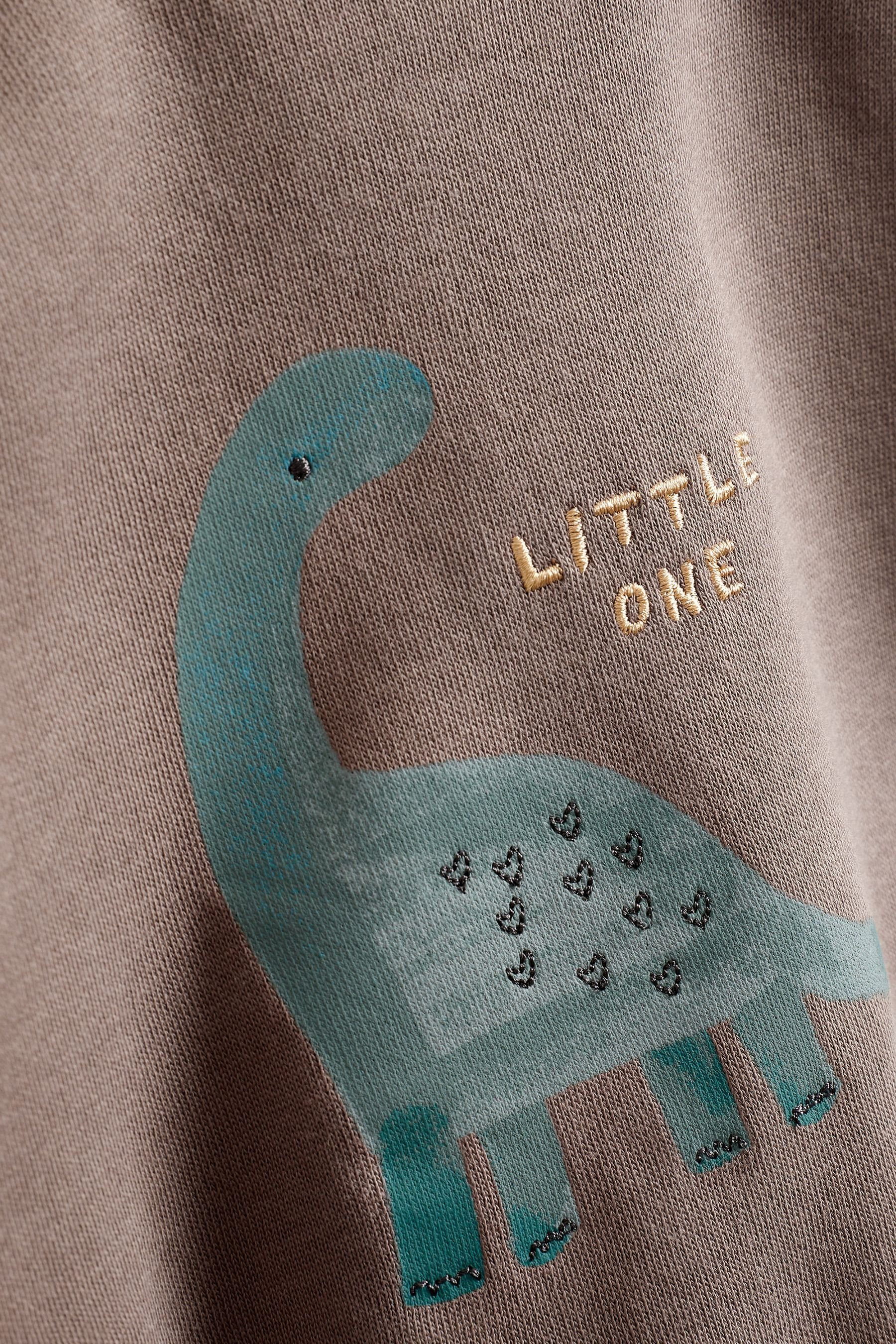 Next Shirt & Leggings und Chocolate Leggings Baby-Set 2-teiliges Brown Sweatshirt (2-tlg) Dinosaur mit