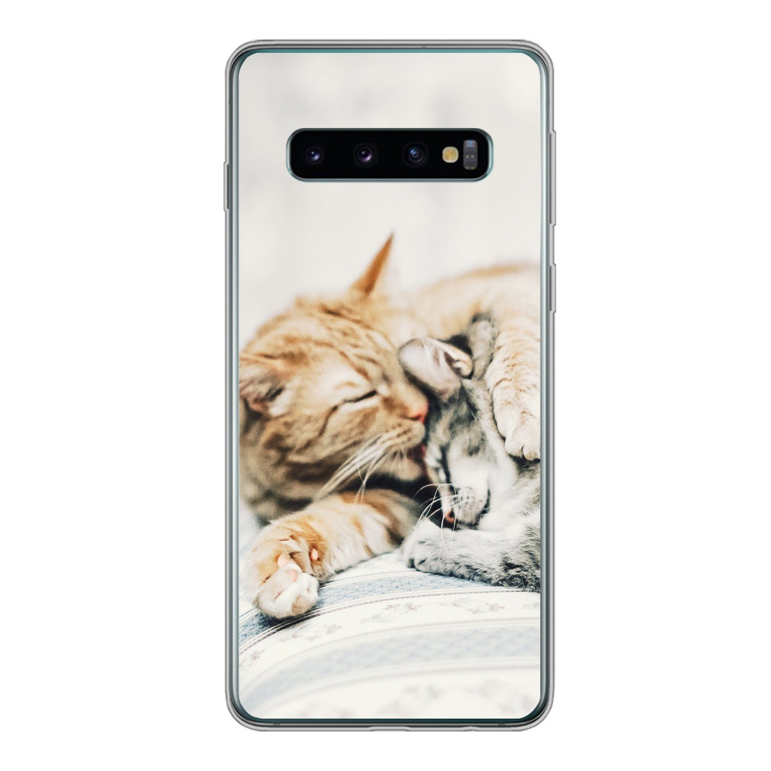 Handyhülle für Samsung Galaxy S10 Katzen - Sofa - Wohnzimmer