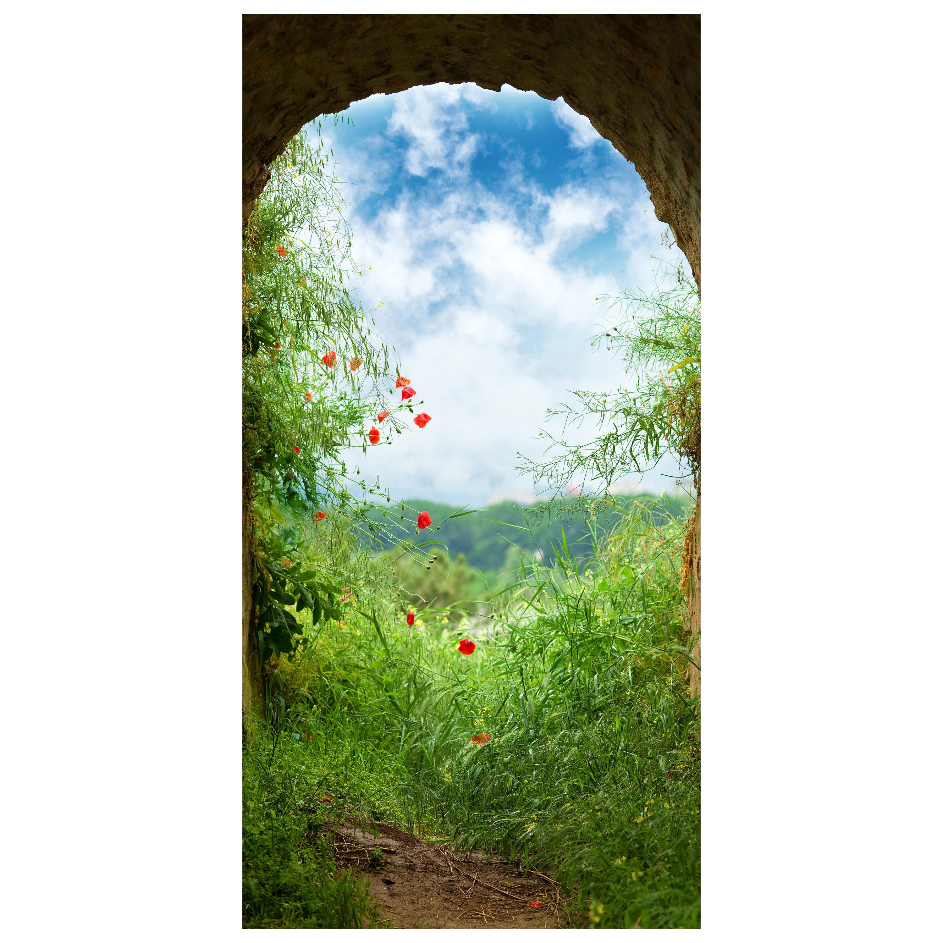 wandmotiv24 Türtapete Blick aus Tunnel, Wiese, Natur, Blumen, glatt, Fototapete, Wandtapete, Motivtapete, matt, selbstklebende Dekorfolie