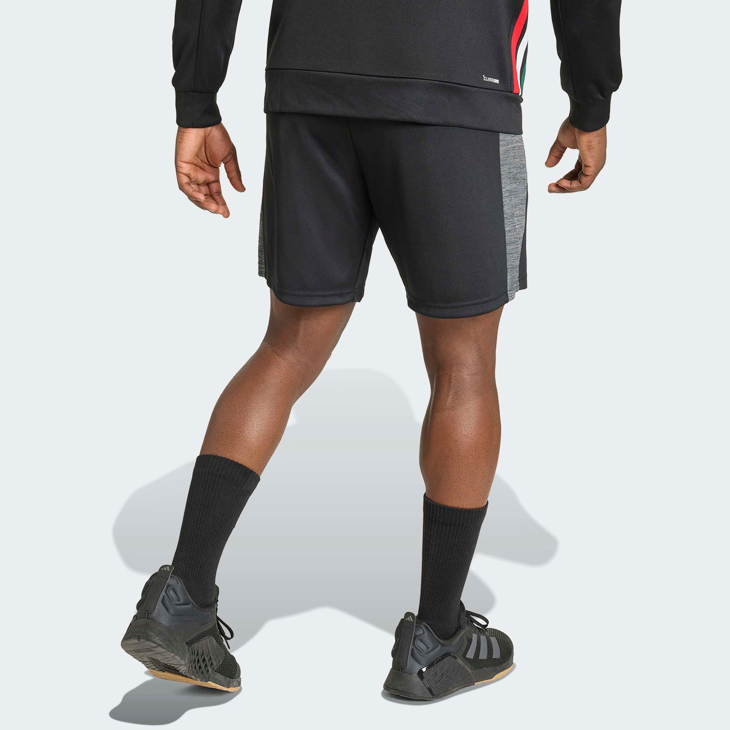 adidas Performance Shorts WORKOUT ESSENTIALS