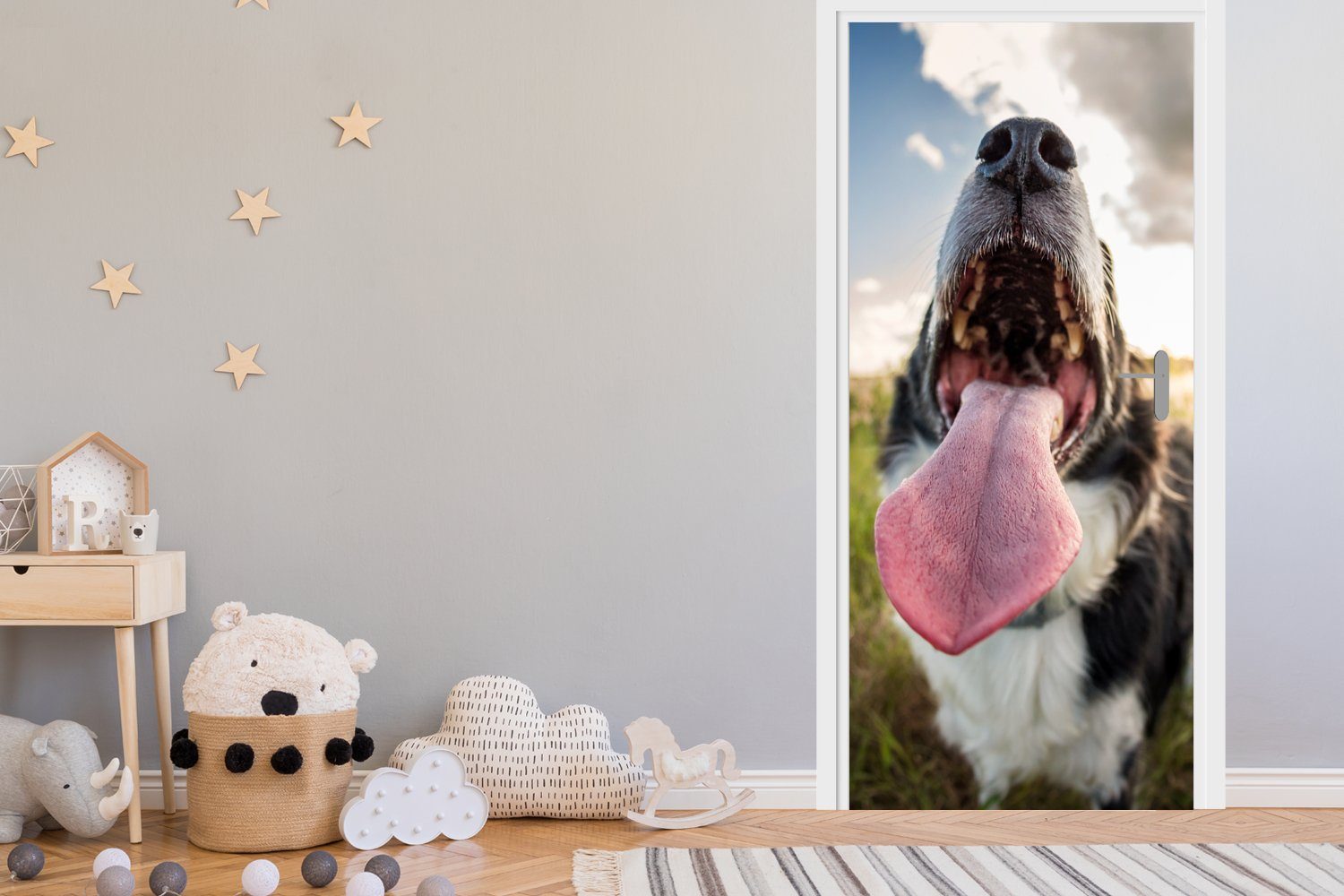 MuchoWow Türtapete Nahaufnahme Border Collie, St), 75x205 Fototapete für Tür, Türaufkleber, bedruckt, Matt, cm (1