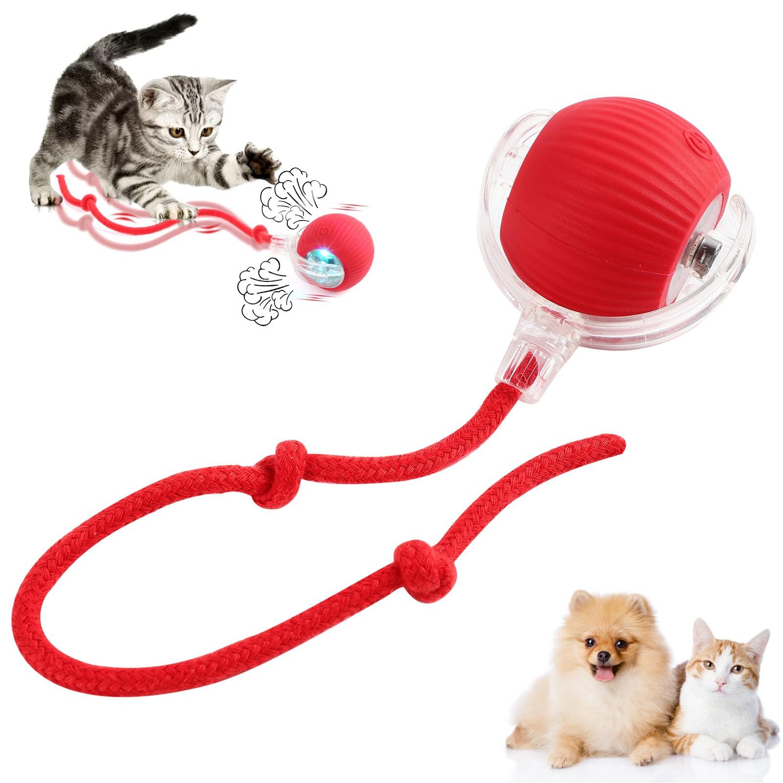RWEUOQ Tier-Intelligenzspielzeug Katzen- und Hundespielzeug, Interaktives günstig online kaufen