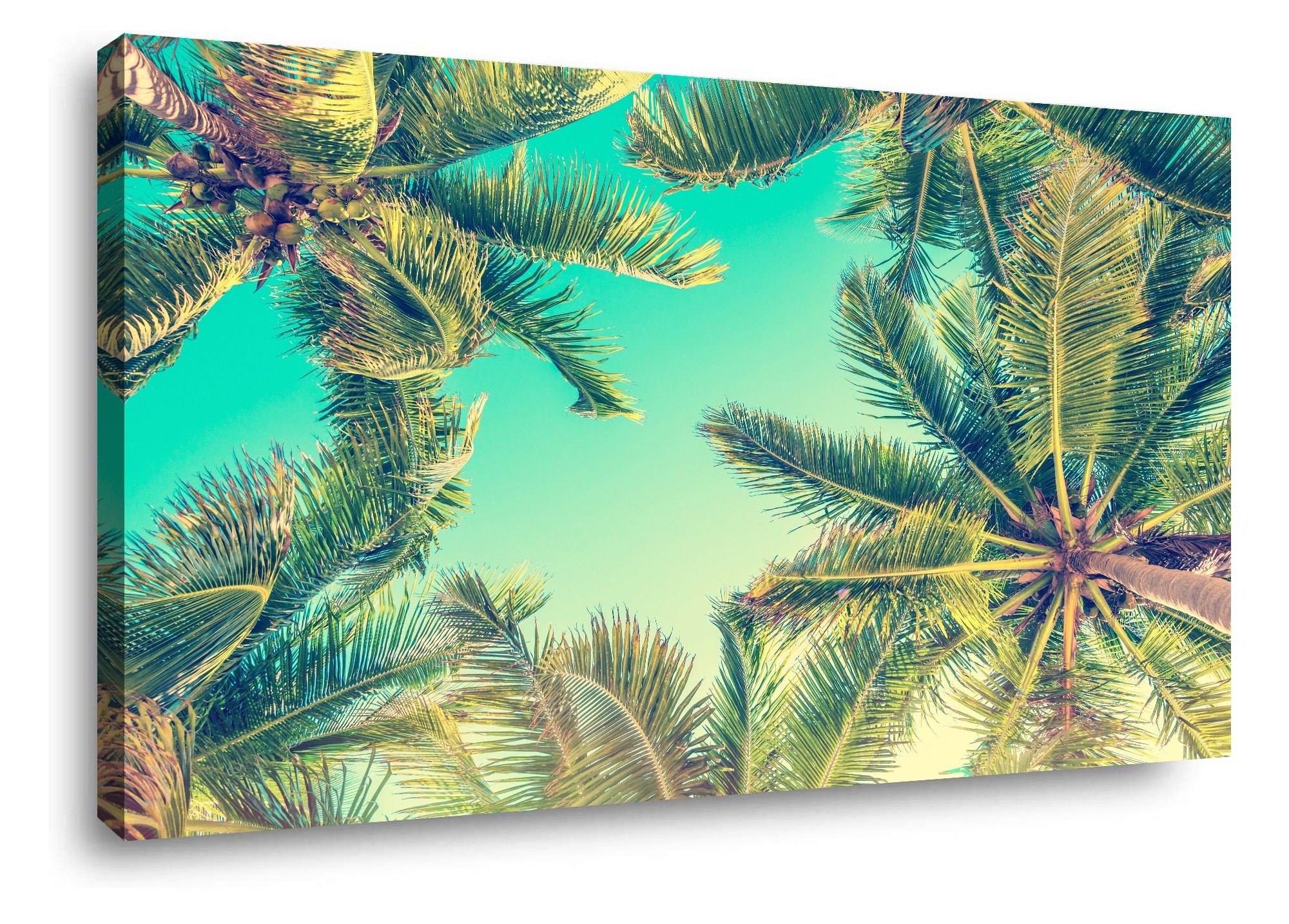 Visario Bild Bild auf Leinwand fertig günstig online kaufen