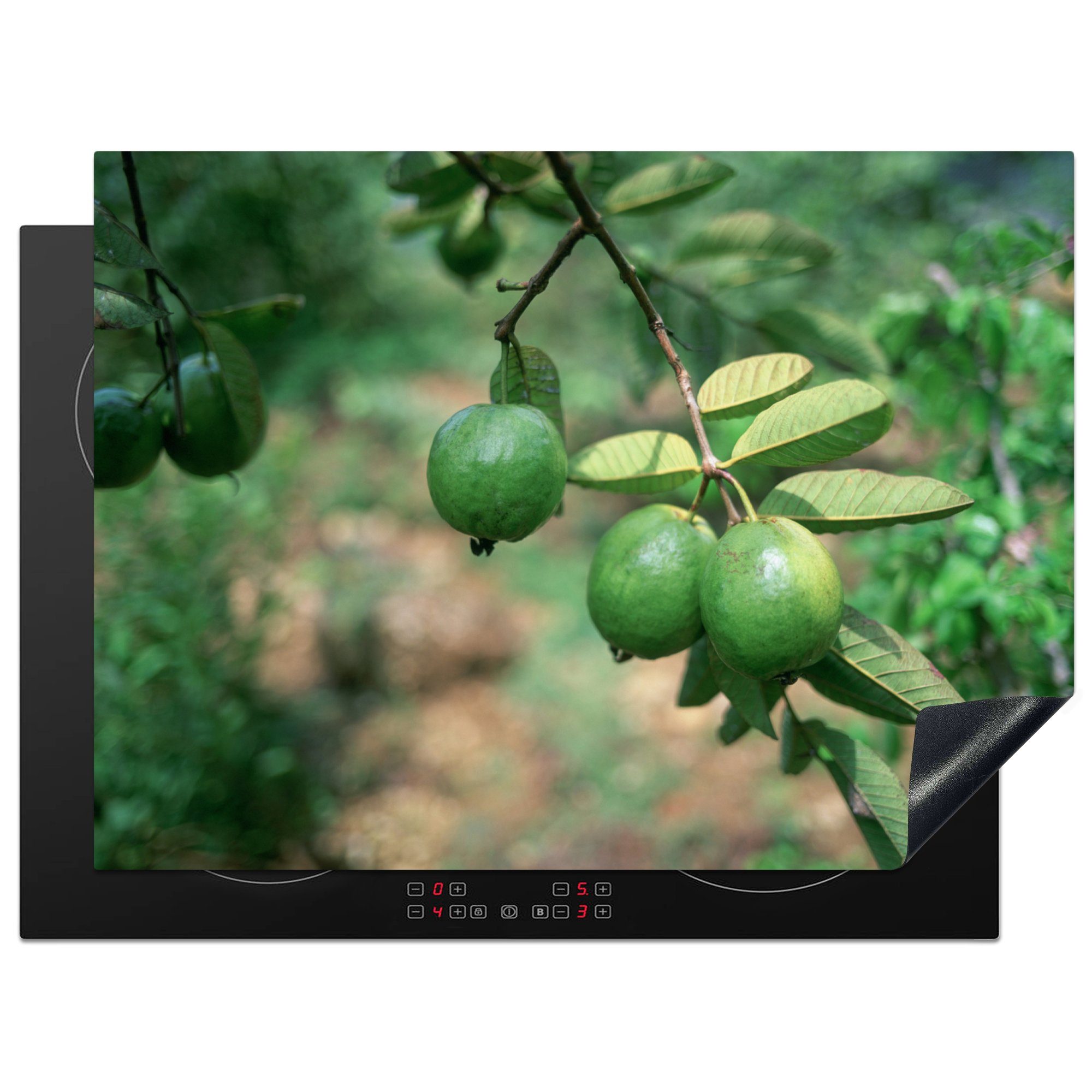MuchoWow Herdblende-/Abdeckplatte Guavenbaum mit einigen reifenden Früchten, Vinyl, (1 tlg), 70x52 cm, Mobile Arbeitsfläche nutzbar, Ceranfeldabdeckung