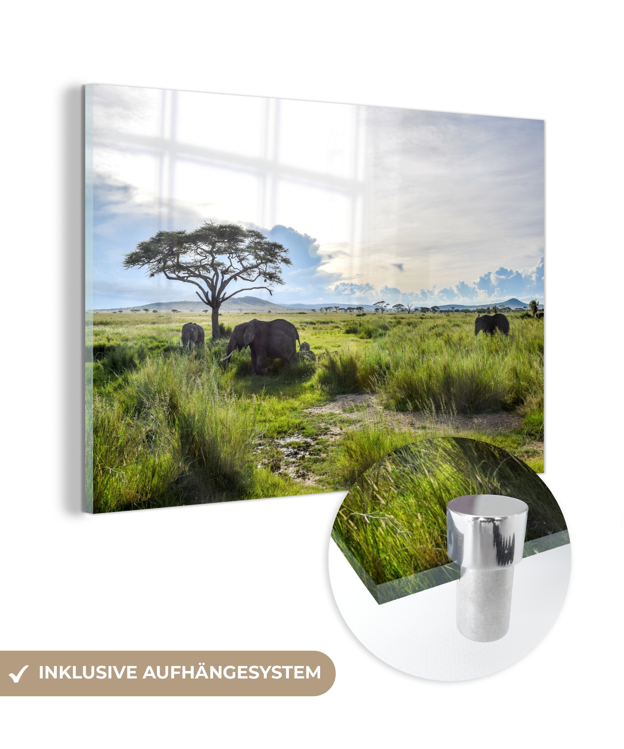 MuchoWow Acrylglasbild Hohes grünes Gras und wilde Tiere im Serengeti-Nationalpark in, (1 St), Acrylglasbilder Wohnzimmer & Schlafzimmer