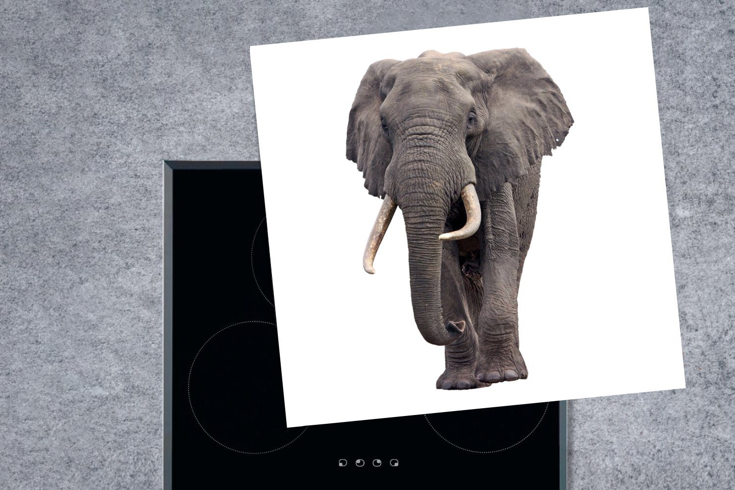 Afrika - - cm, für (1 Herdblende-/Abdeckplatte MuchoWow küche Weiß, Ceranfeldabdeckung, 78x78 Arbeitsplatte tlg), Vinyl, Elefant