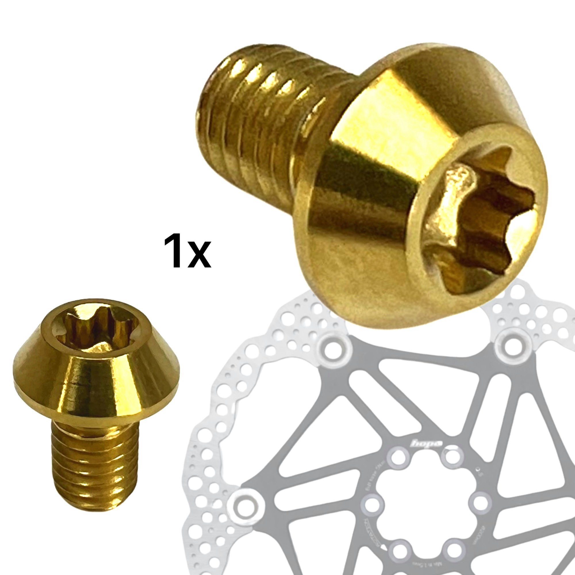 Fantic26 Scheibenbremse Titan M5 x 8mm Torx T25 Fahrrad Bremsscheiben Befestigungs Schraube Ti Gold | 