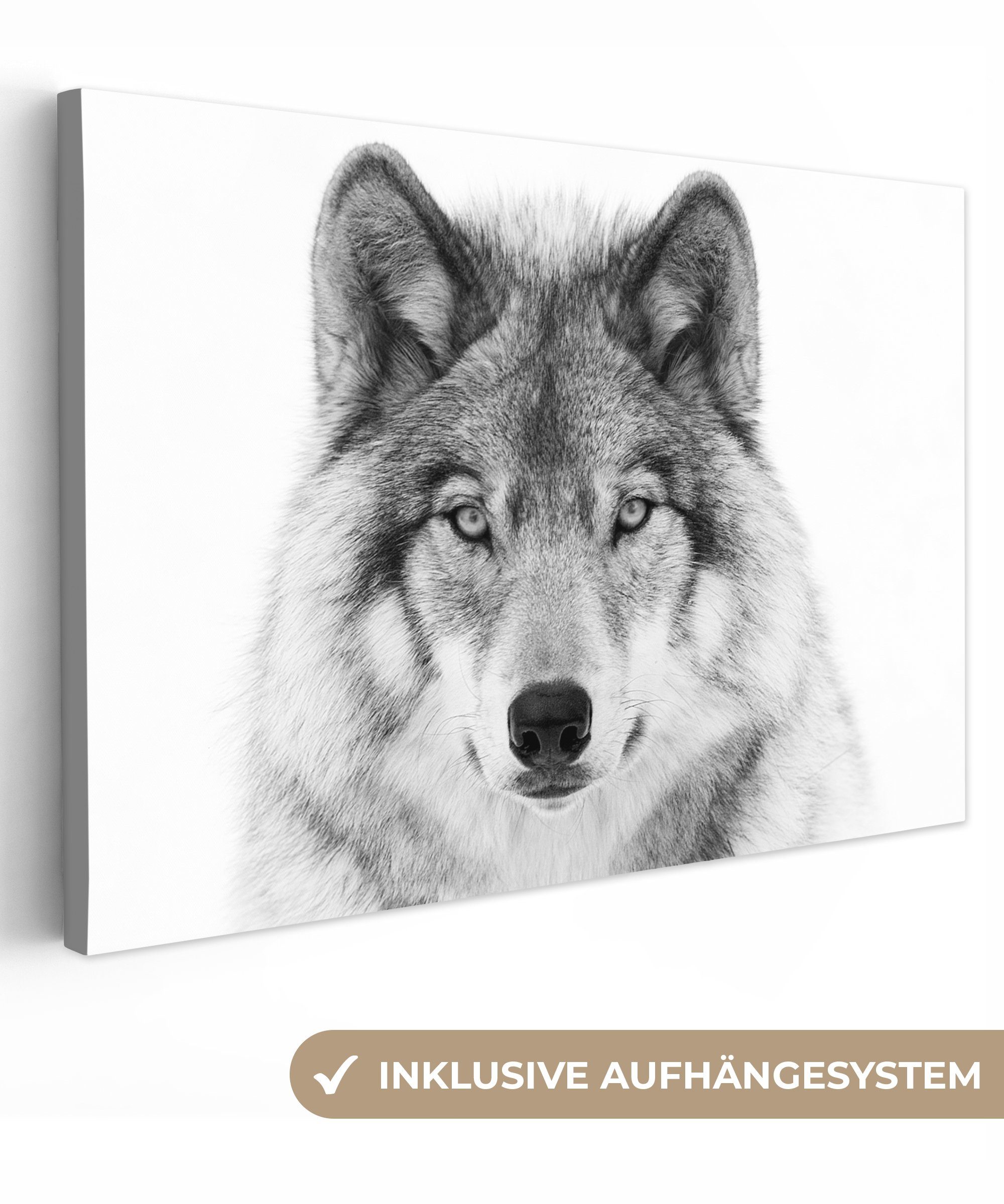 OneMillionCanvasses® Leinwandbild Wolf - Tiere - Porträt - Weiß, Fotodruck (1 St), Leinwand Bilder Klein, Wand Dekoration Aesthetic 30x20 cm