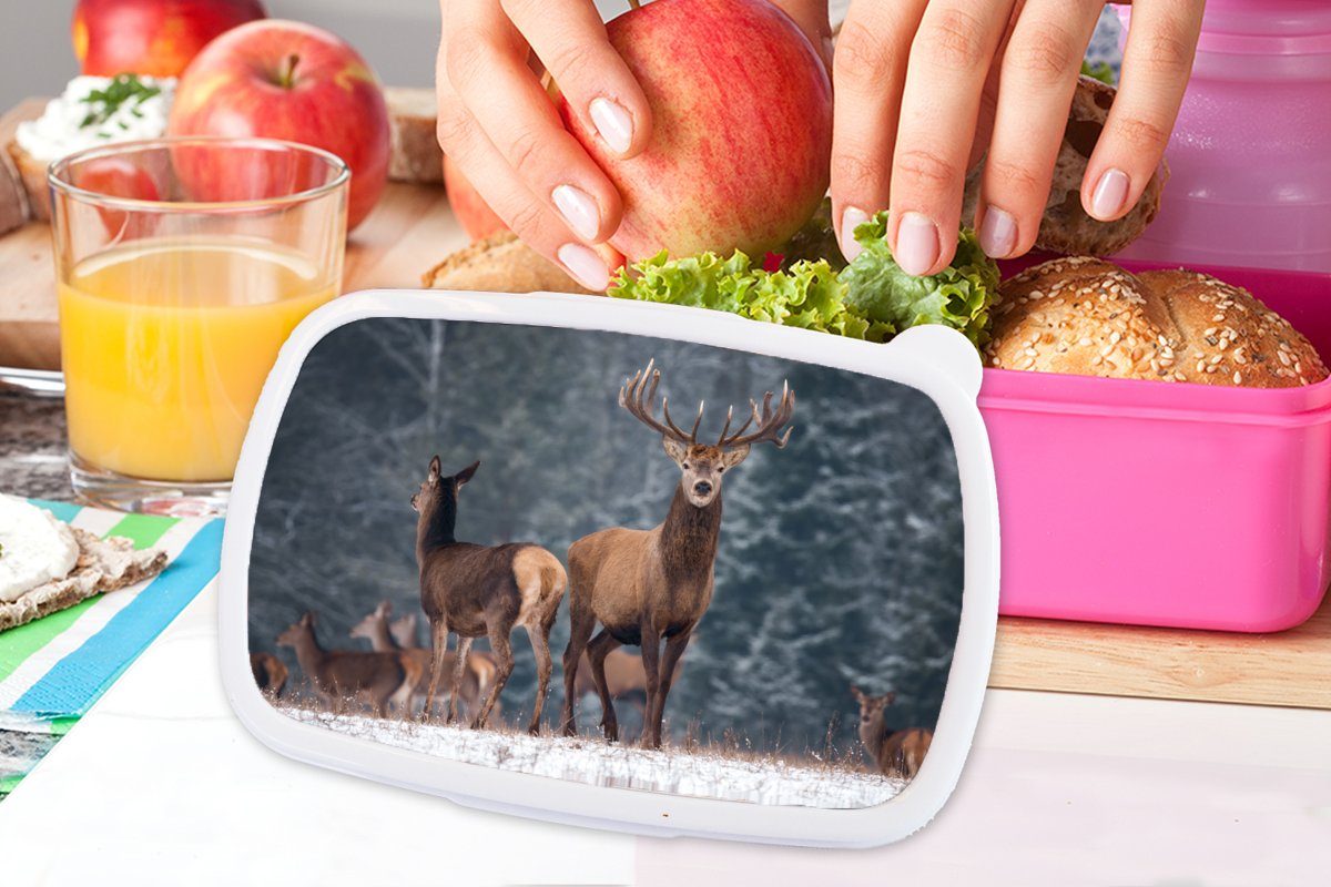 Brotdose Lunchbox rosa Natur, Waldtiere Hirsche (2-tlg), Kunststoff Snackbox, - für Kinder, Mädchen, - - Kunststoff, - Brotbox Erwachsene, Landschaft MuchoWow Schnee - Winter