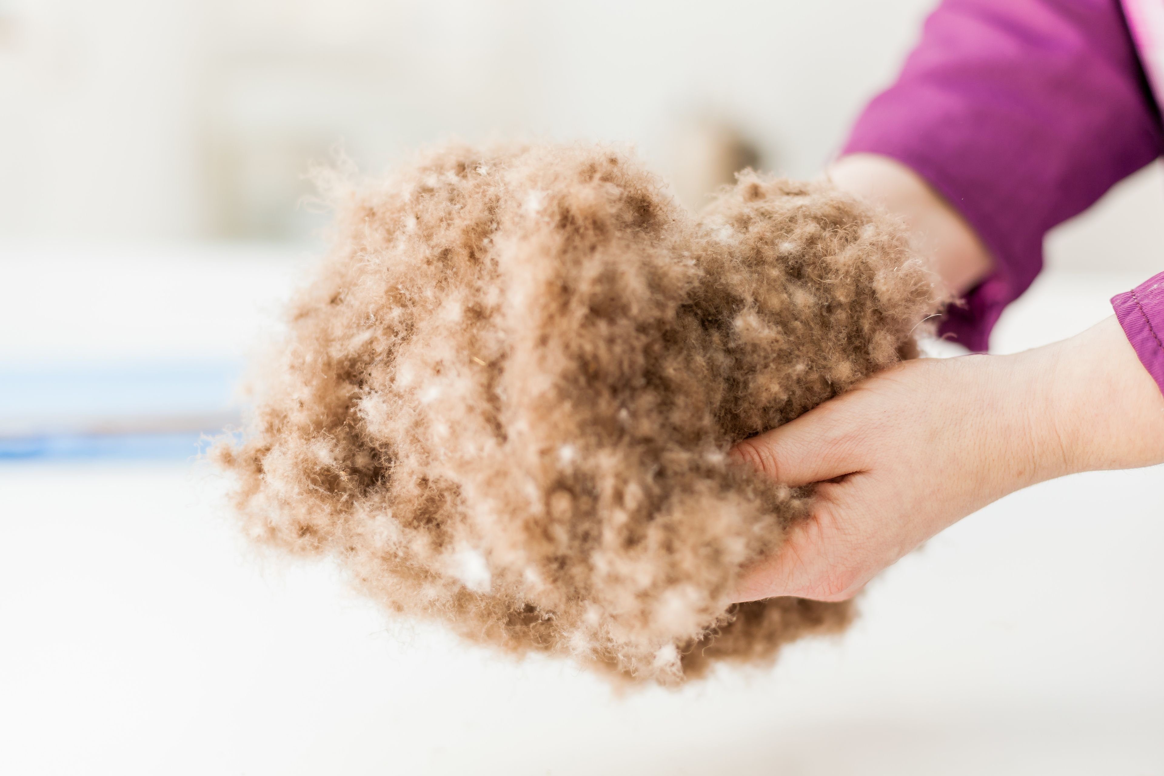 GMD Living Daunenbettdecke PERRY, einzigartige Wärmeisolation bei extrem geringem Gewicht