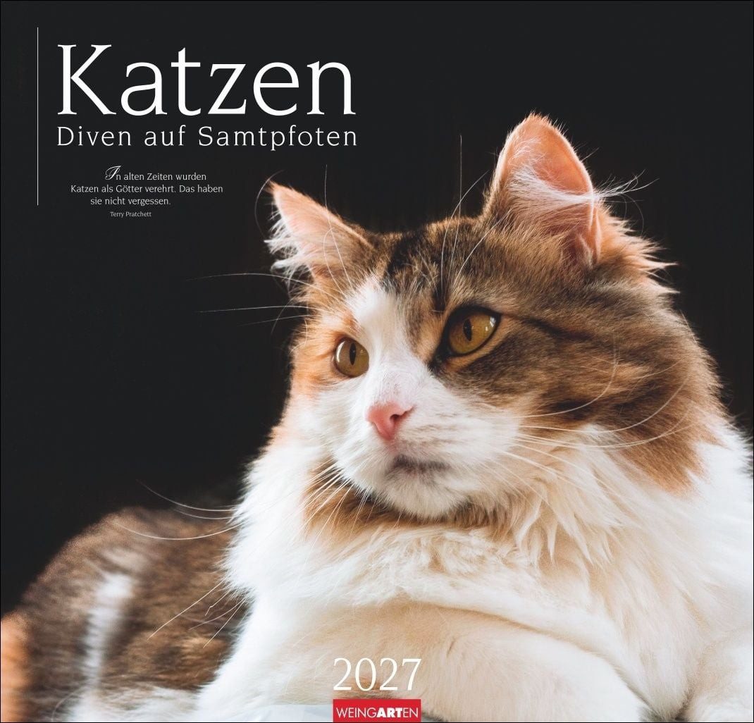 Wandkalender Katzen - Diven auf Samtpfoten Kalender 2027 - Diven auf Samtpfoten Eig