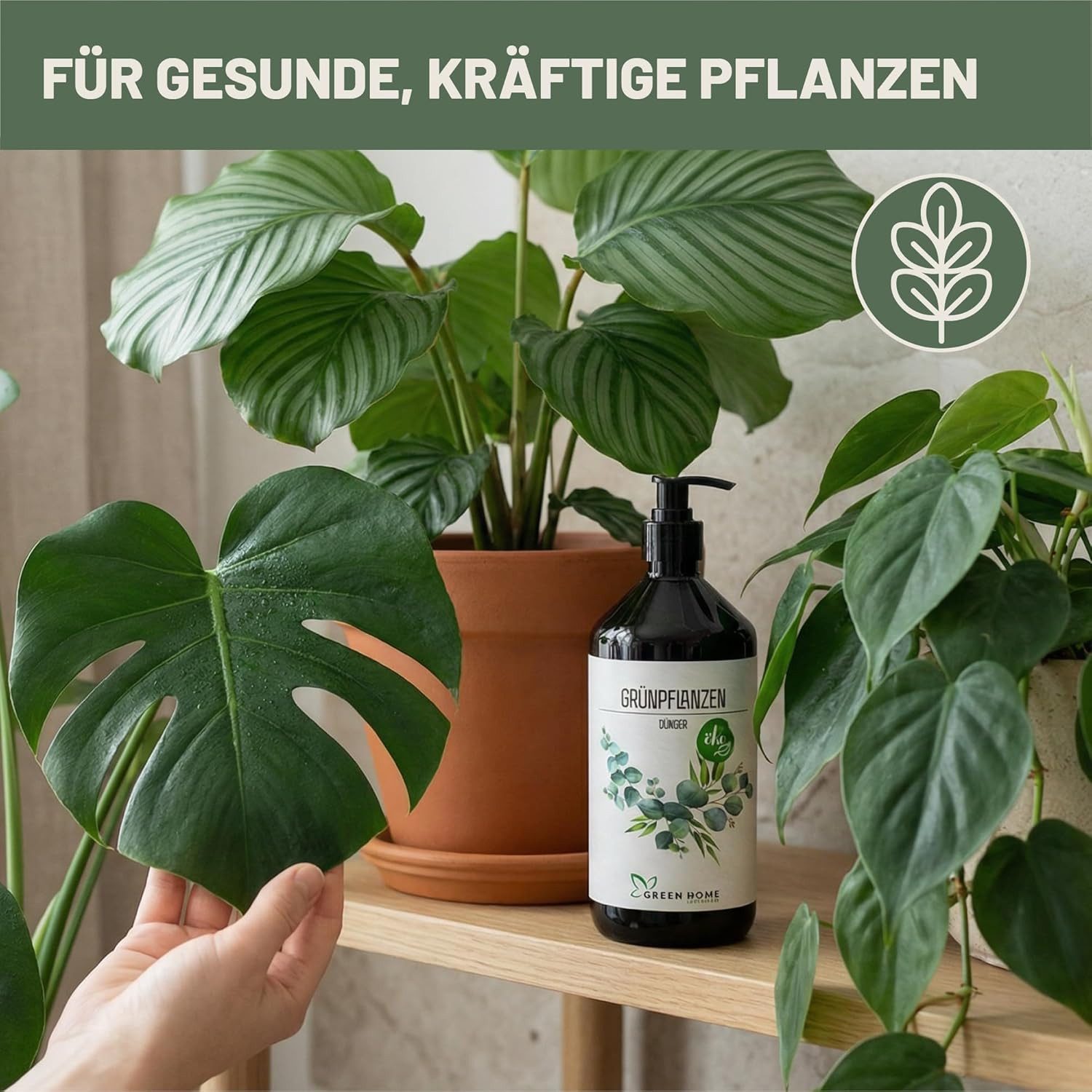 GREEN HOME LOVE NATURE Universaldünger Flüssigdünger NPK 7+3+5 für Grün-, Zimmer- & Kübelpflanzen, Grünpflanzen Universell, NPK 7+3+5, Spurennährstoffe, chelatiert, Dosierpumpe