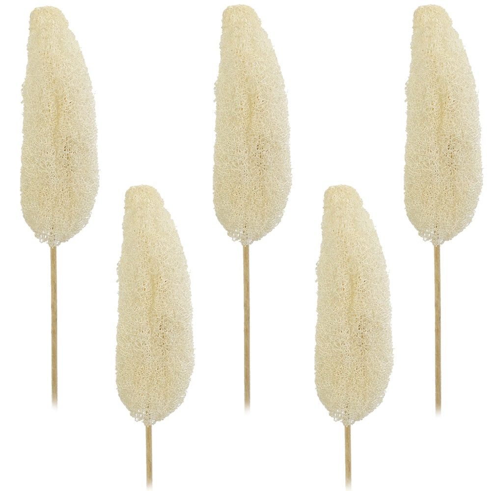 matches21 HOME & HOBBY Bilderrahmen Luffa am Stiel Trockenblumen gebleicht 5er Set ca. 10-15 cm, (5 St)