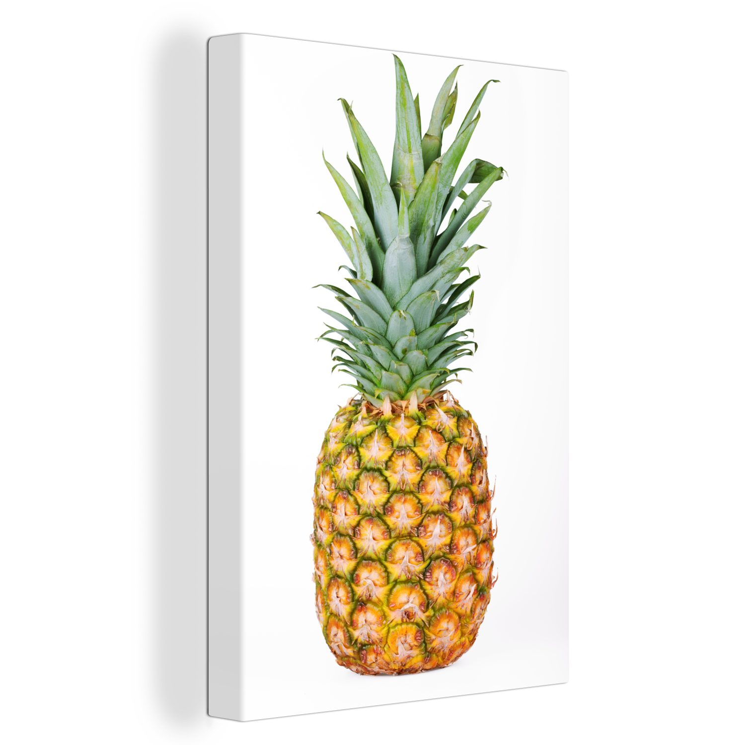 OneMillionCanvasses® Leinwandbild Ananas - Blätter - Frucht - Weiß, (1 St), Leinwandbild fertig bespannt inkl. Zackenaufhänger, Gemälde, 20x30 cm | Leinwandbilder