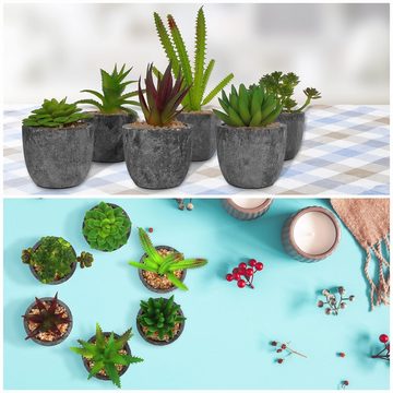 Belle Vous Dekoobjekt Kleine Kunstpflanzen (6er Set) für Zuhause, Arbeitsplatz & Bad, Mini Kunstpflanzen (6 STK) für Haus, Büro & Badezimmer
